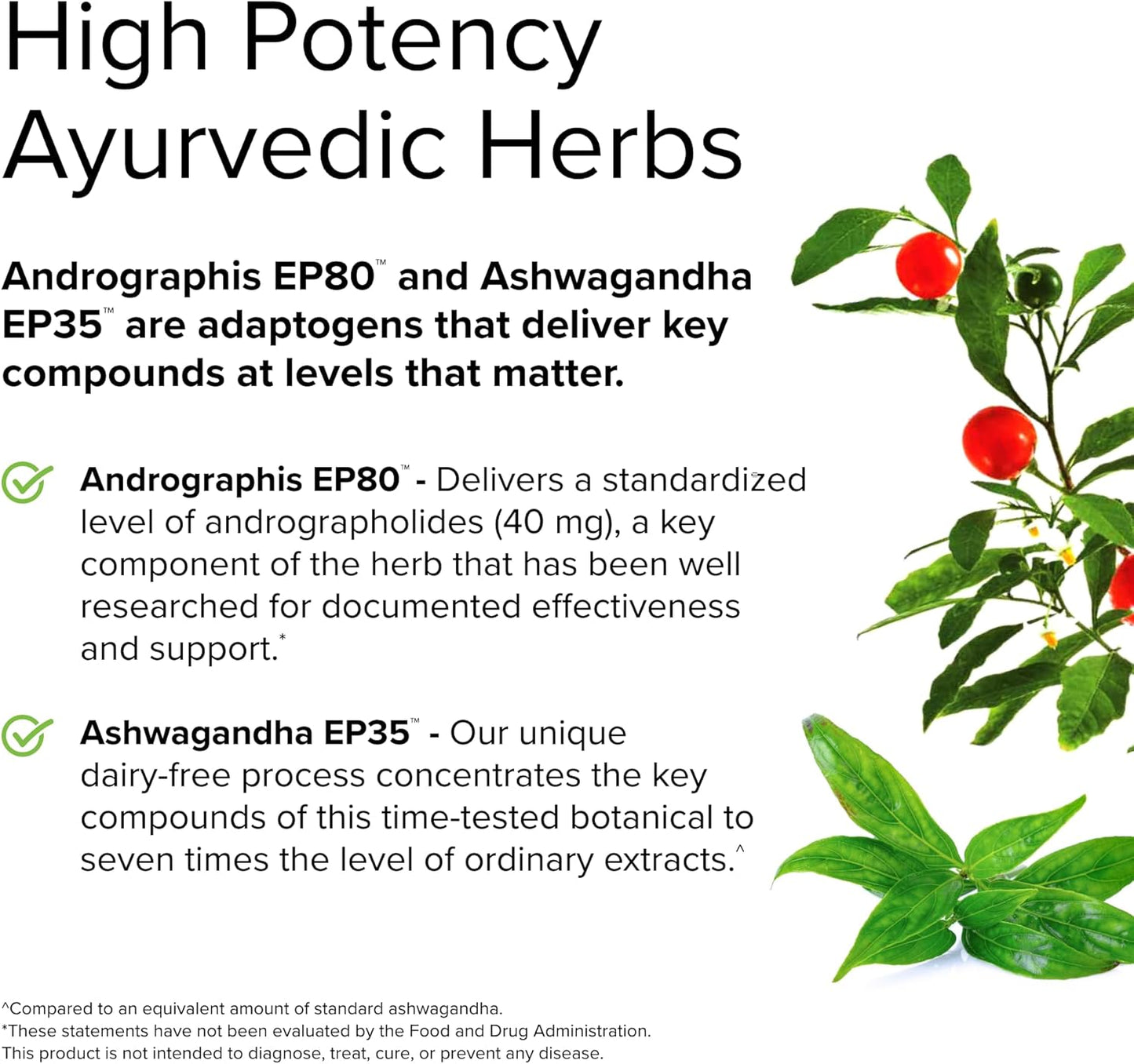 Immune System Support Supplement with Andrographis and Ashwagandha - Promotes Energy & Stress Response - 60 Capsules