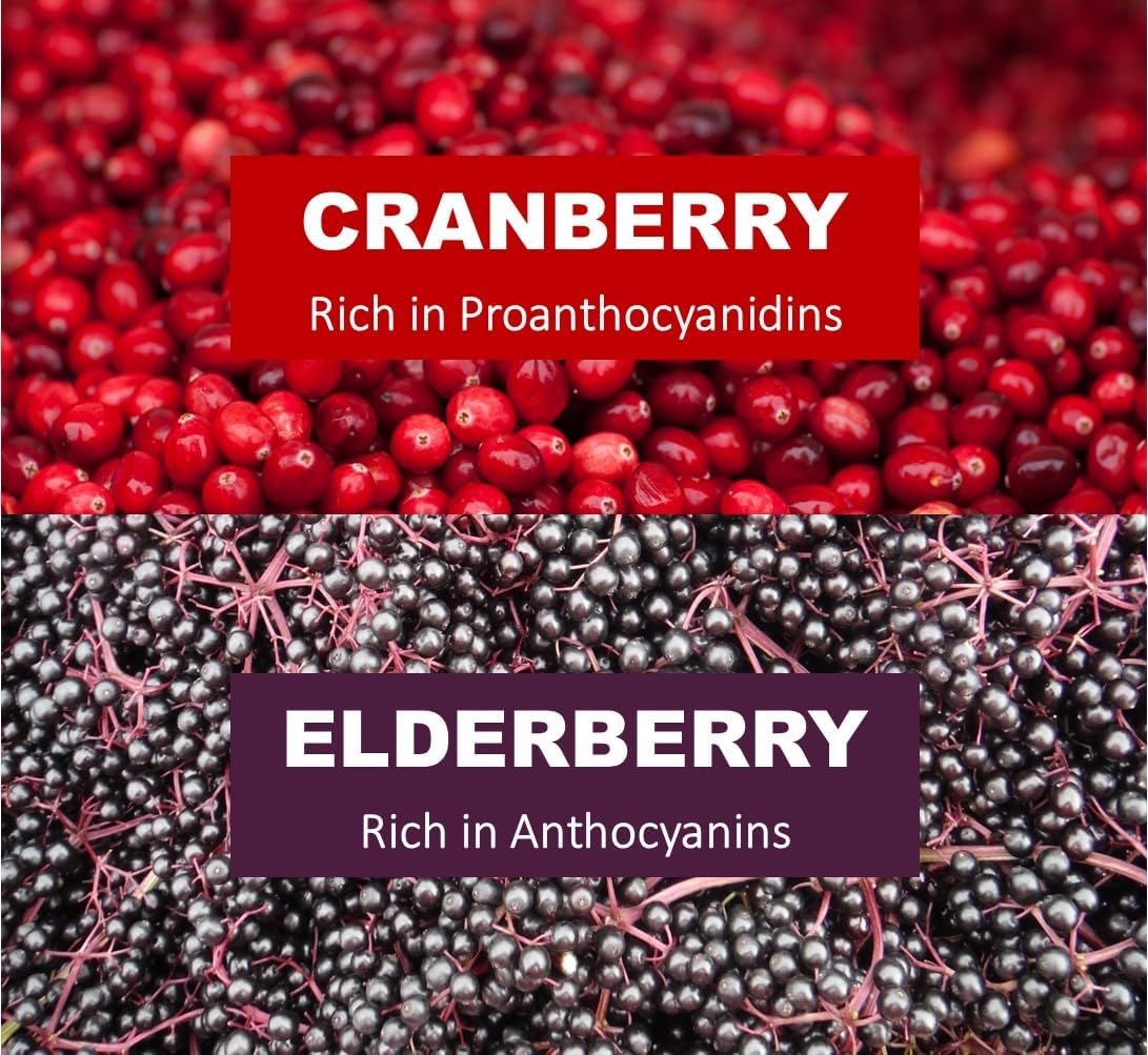 Immunia Cranberry & Elderberry Concentrate for Urinary Health - Natural Prevention of Infections - 5 ml/Day - 1-Pack