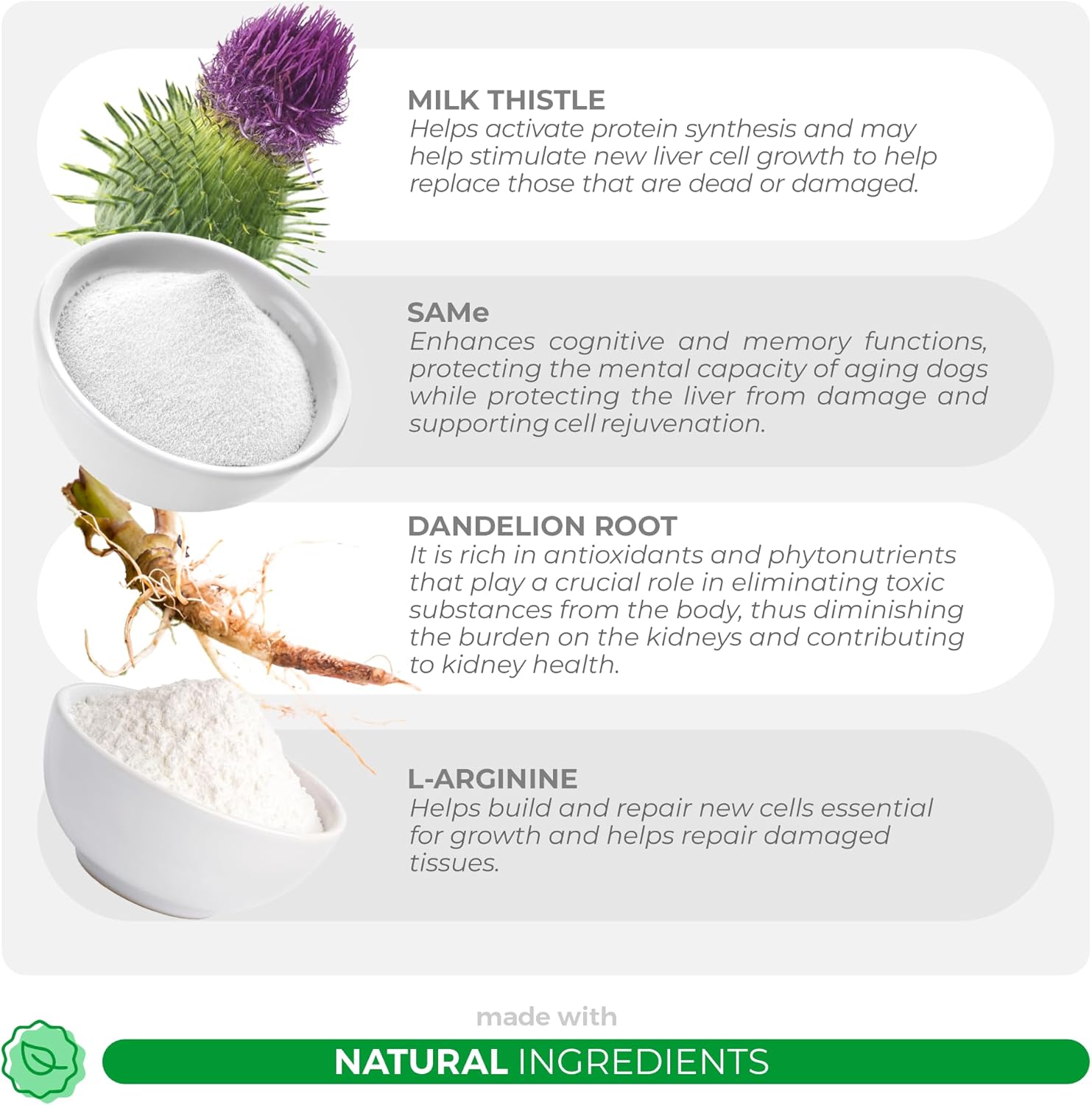 Immunity Boost + Liver & Kidney Support for Cats - Milk Thistle, Same, L-Arginine, Turmeric, Dandelion Root Detox