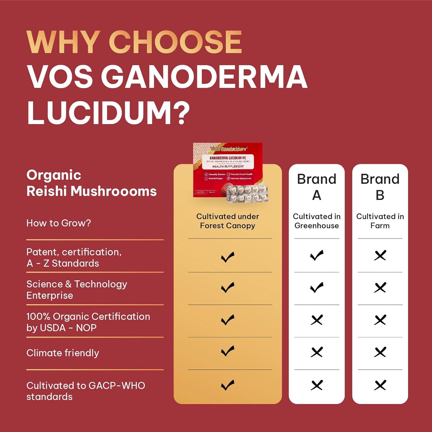 Immunity Boosting Red Reishi Mushroom Tablets, Ganoderma lucidum Extract, Natural Daily Supplement, 40mg, 60 Tablets (10 Tablets x 6 Blisters)