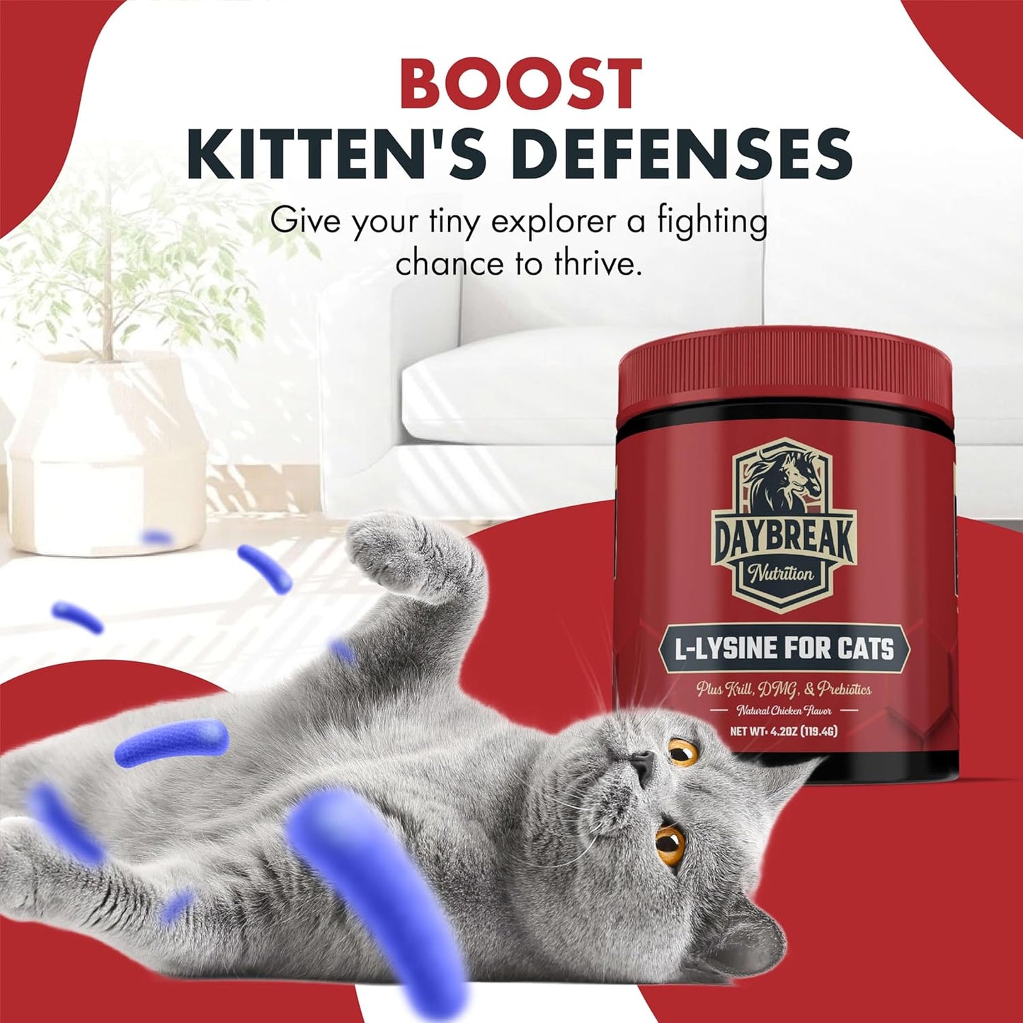 Immunity & Respiratory Support for Cats - L-Lysine Powder Supplement with Prebiotics, Krill, & DMG - Promotes Immune System, Eye Health, & Reduces Sneezing