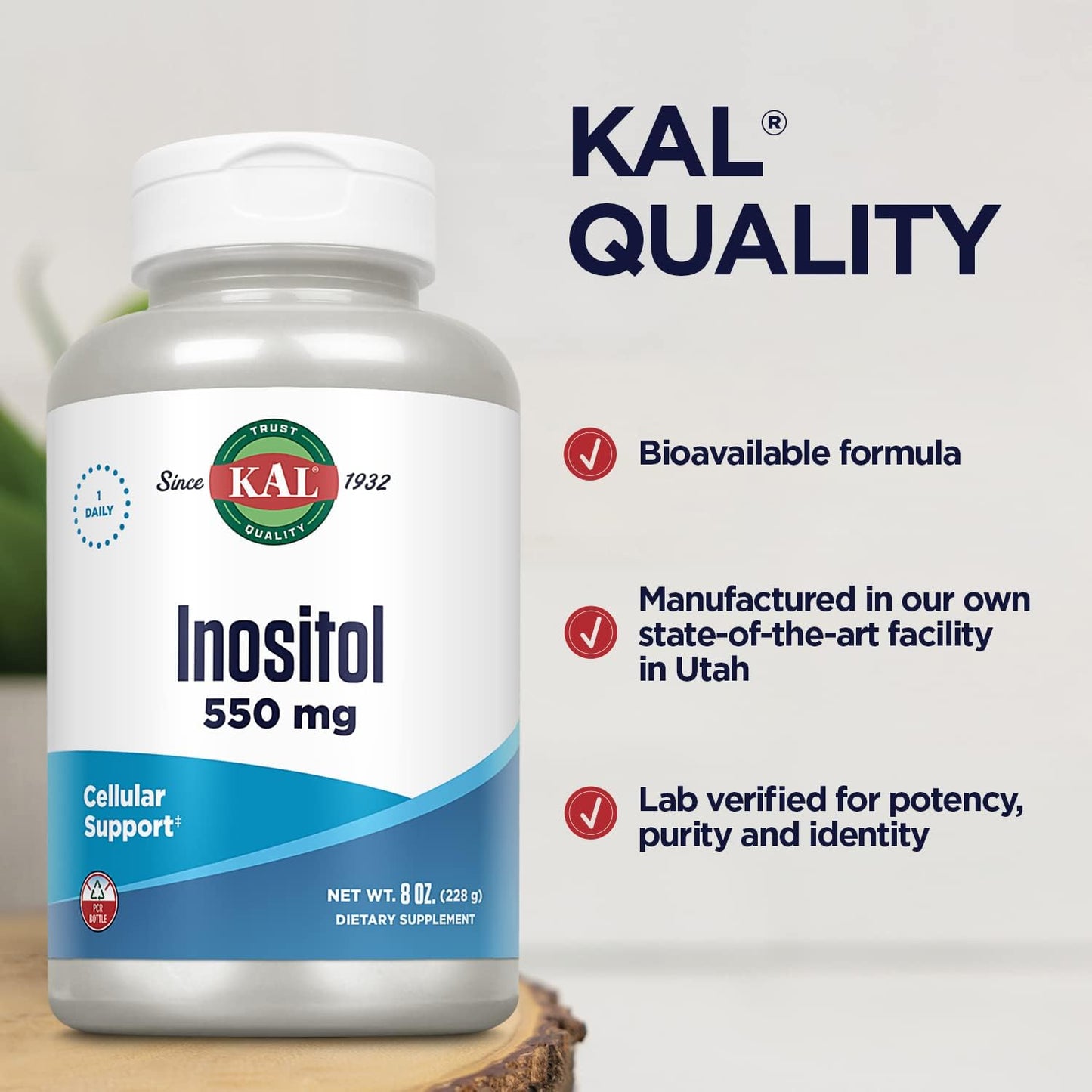 Inositol Powder 550mg for Brain, Nervous System, and Mood Support - Enhanced Absorption Formula, Easy to Mix - 8oz, 408 Servings