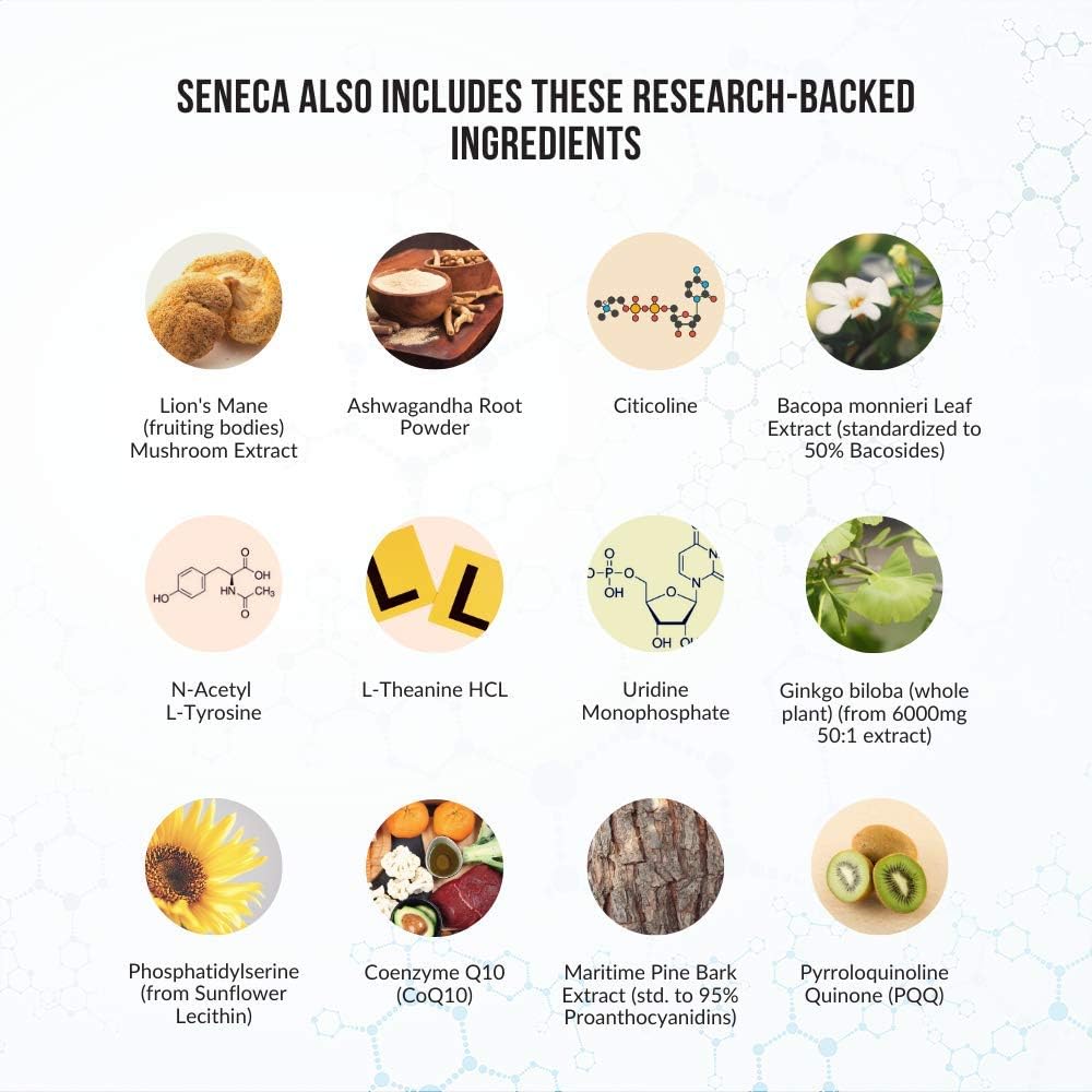 Intelligent Labs Seneca Nootropic Supplement for Brain Health | Enhance Focus, Memory & Clarity | 18 Ingredients incl. B-Complex Vitamins, Lion’s Mane & Ashwagandha | Non-Caffeinated