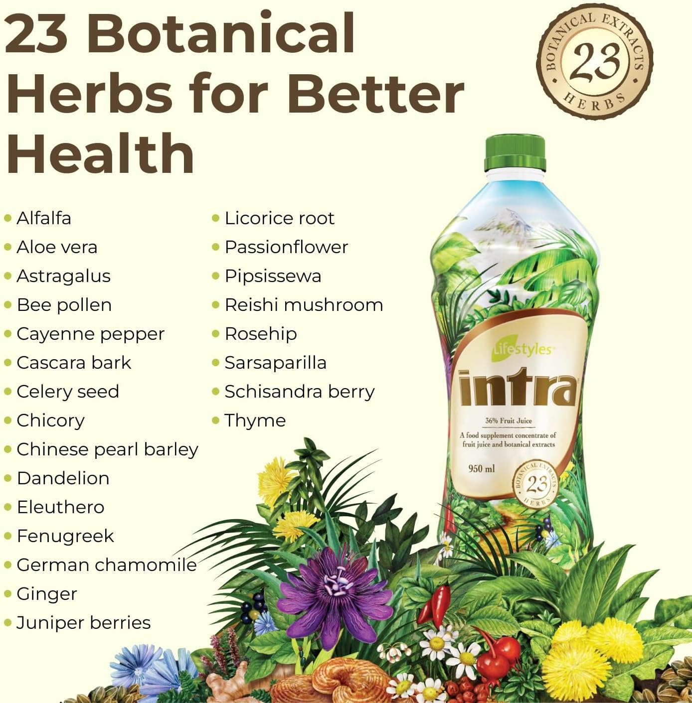 Intra Lifestyles Herbal Juice Drink with 23 Botanical Extracts for Immune Support, Detox, Digestive & Cardiovascular Health - 950 mL