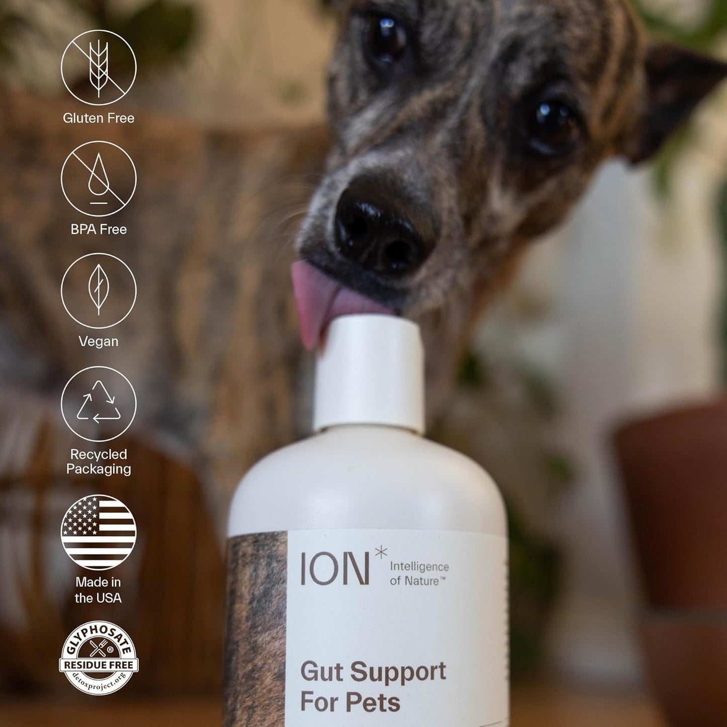 ION* Intelligence of Nature Gut Support for Pets - Digestion & Immune Boost (8 oz)