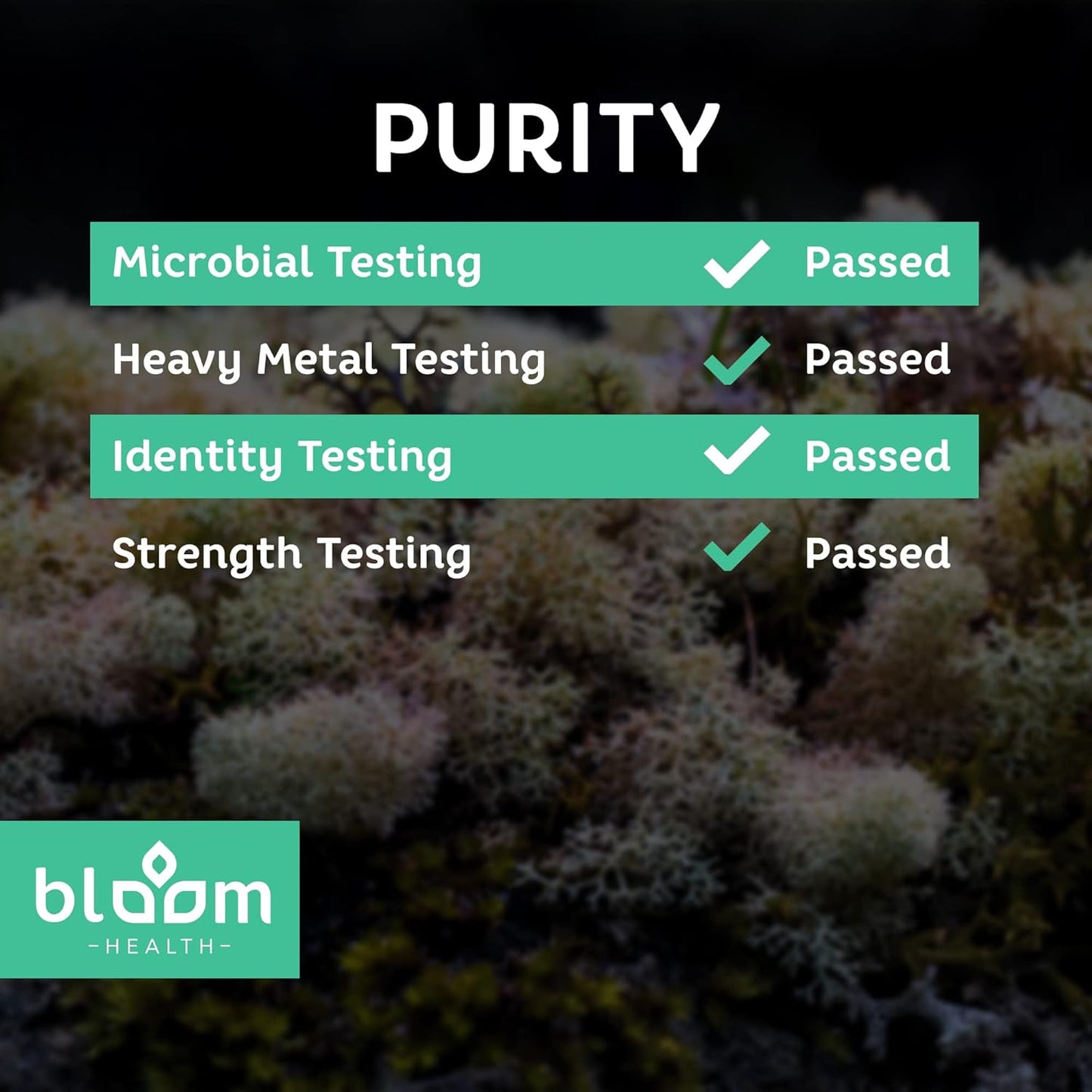 Irish Moss Supplement Capsules for Thyroid & Immune Support - Vegan Sea Moss Pills for Health - Non-GMO, Raw, 120 Vegetarian Capsules