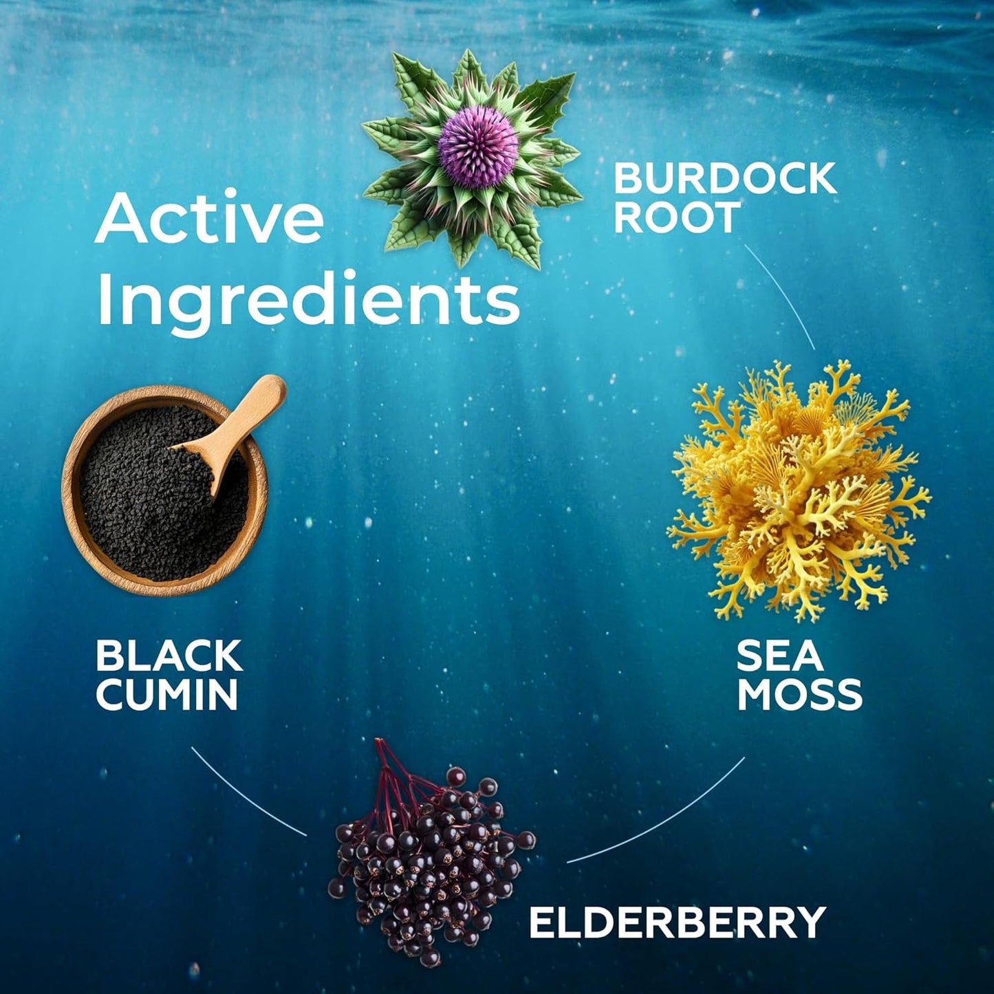 Irish Sea Moss Drops with Elderberry, Burdock Root, Black Cumin - Digestive, Immune, Skin & Hair Health - Energy Boost - BlackBerry Flavor - 2 Fl Oz