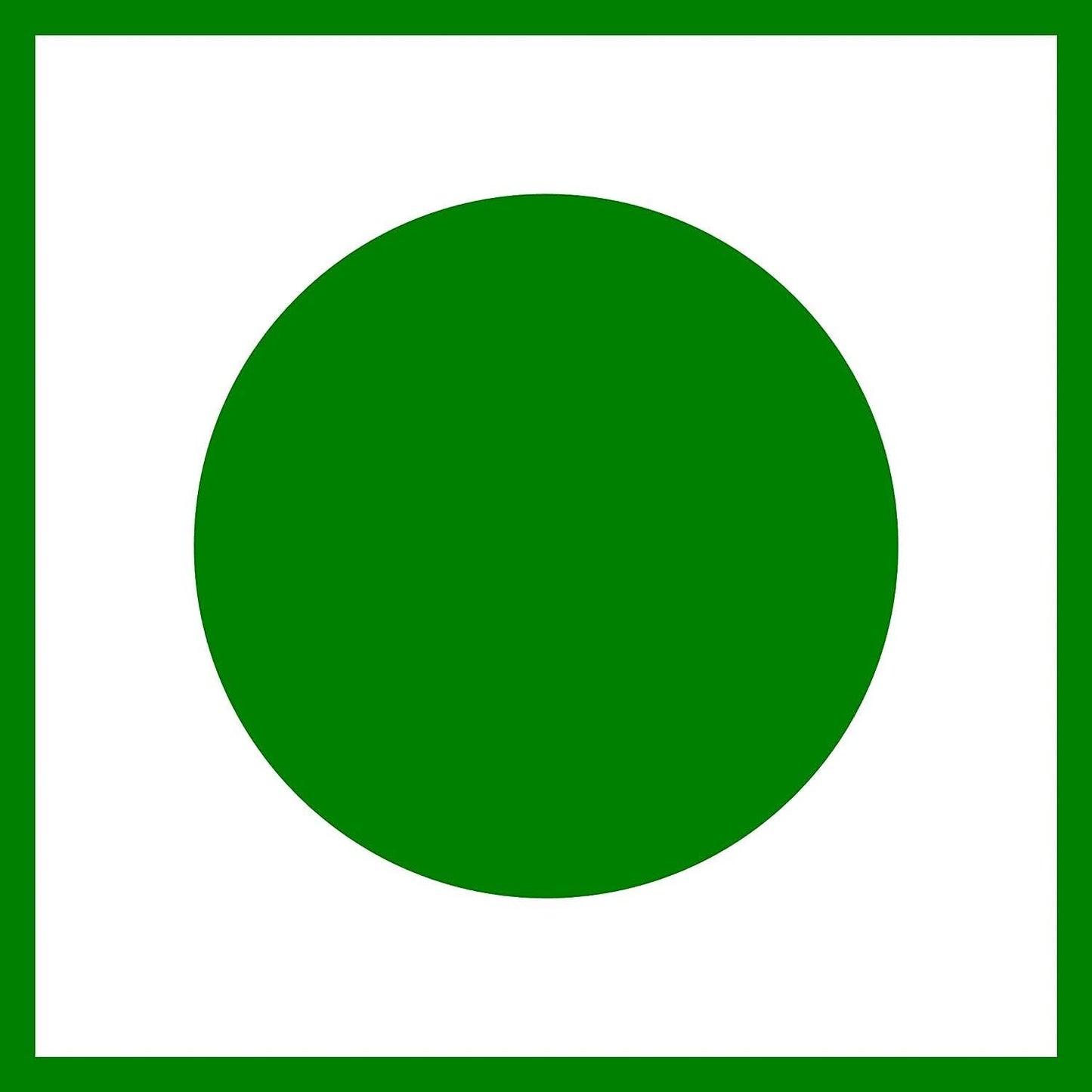 Iron, B12, Folic Acid, Vitamin C Supplement for Energy, Stamina, Immunity - 30 Count Pack