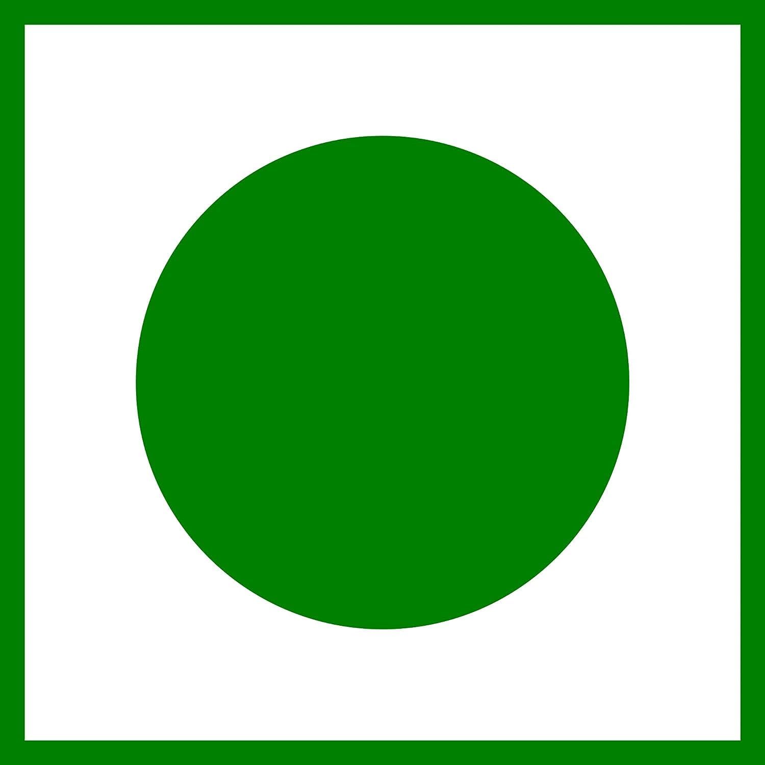 Iron, B12, Folic Acid, Vitamin C Supplement for Energy, Stamina, Immunity - 30 Count Pack