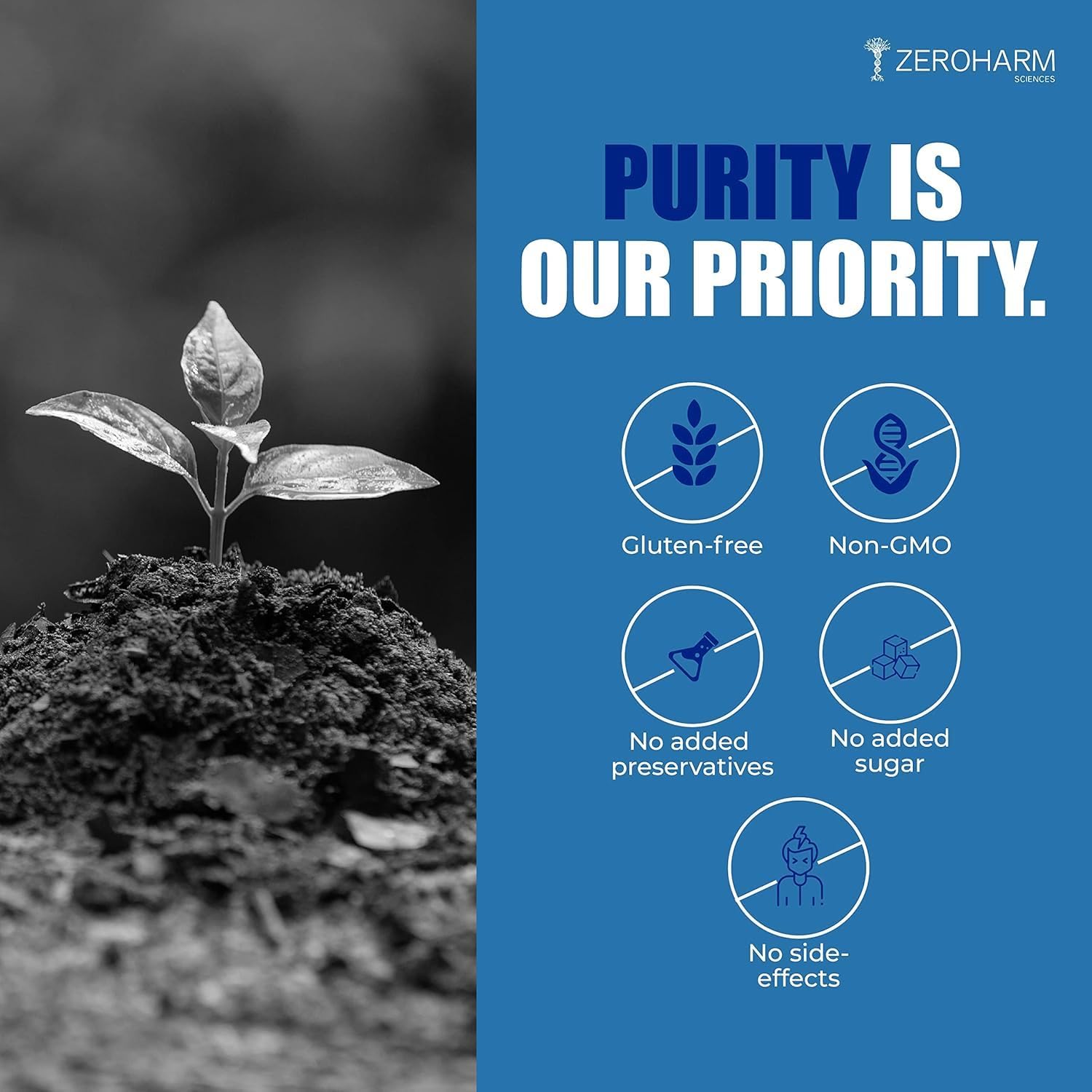 Iron Supplement with Zinc and Folic Acid - 60 Tablets for Overall Health