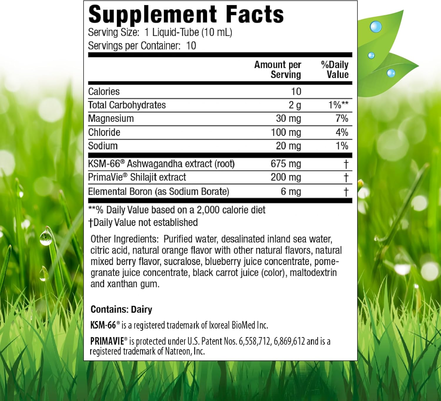 Irwin Naturals Ashwagandha Liquid Tubes for Mind & Body - Berry-Citrus Flavored Drink Mix - Boosts Physical & Mental Performance - One-Per-Day Formula