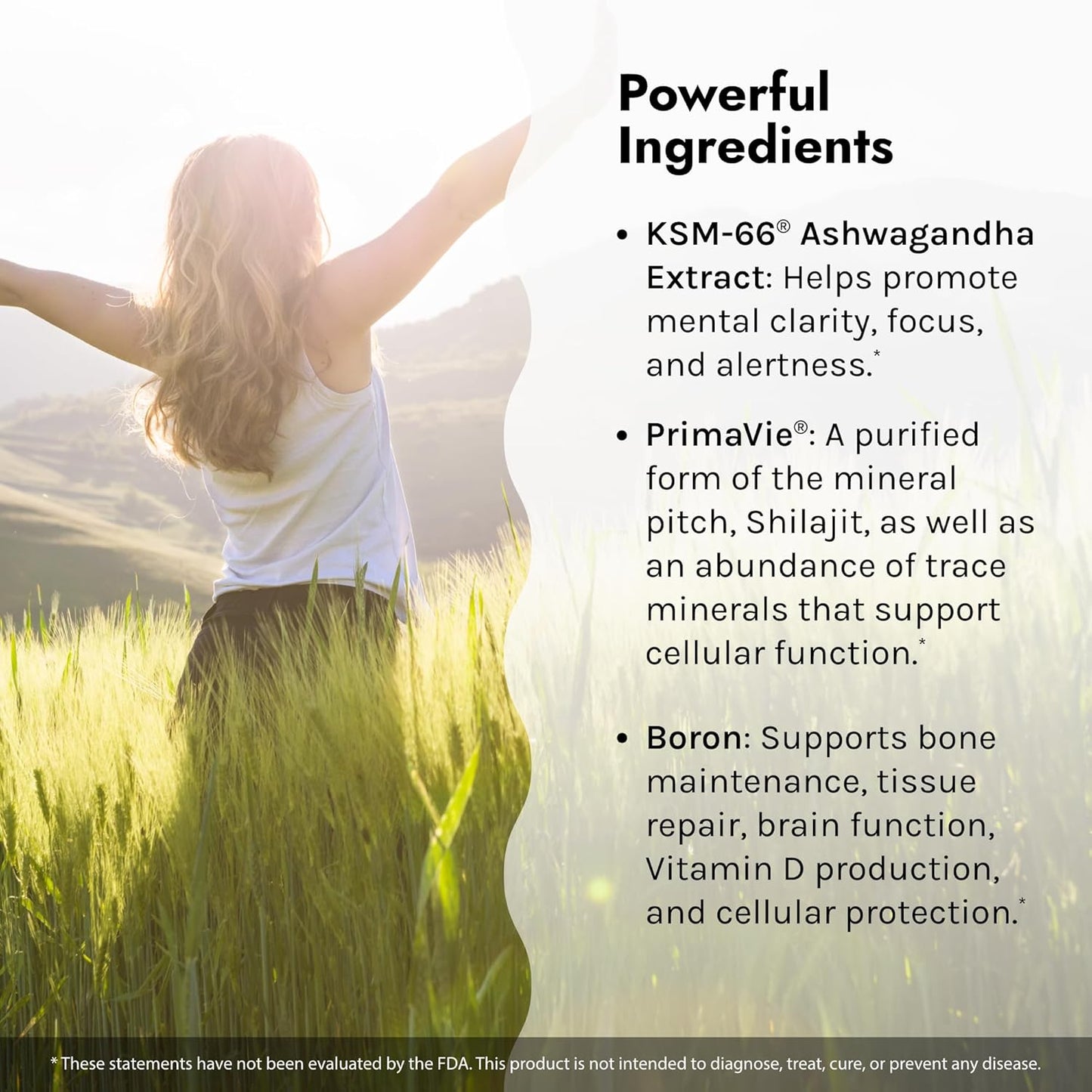 Irwin Naturals Ashwagandha Liquid Tubes for Mind & Body - Berry-Citrus Flavored Drink Mix - Boosts Physical & Mental Performance - One-Per-Day Formula