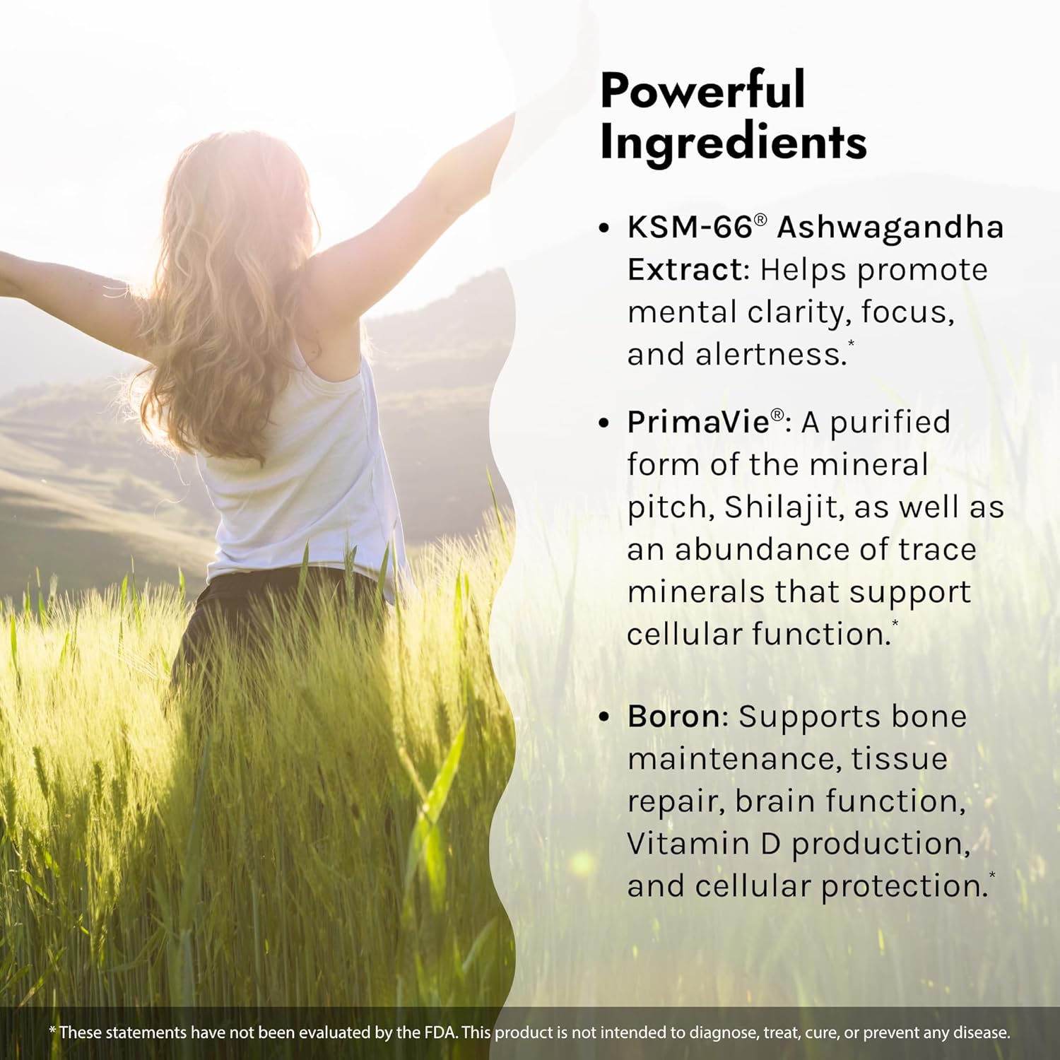 Irwin Naturals Ashwagandha Liquid Tubes for Mind & Body - Berry-Citrus Flavored Drink Mix - Boosts Physical & Mental Performance - One-Per-Day Formula