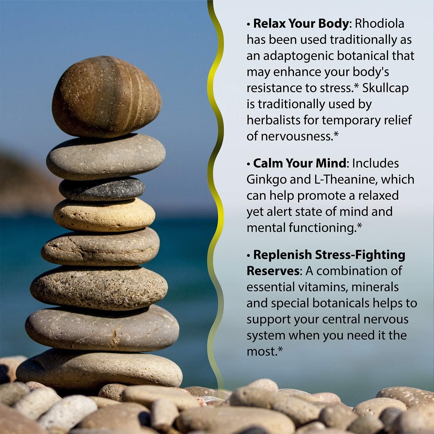 Irwin Naturals Stress Defy Liquid Softgels Bundle with Pill Case - Promotes Clarity and Relaxation