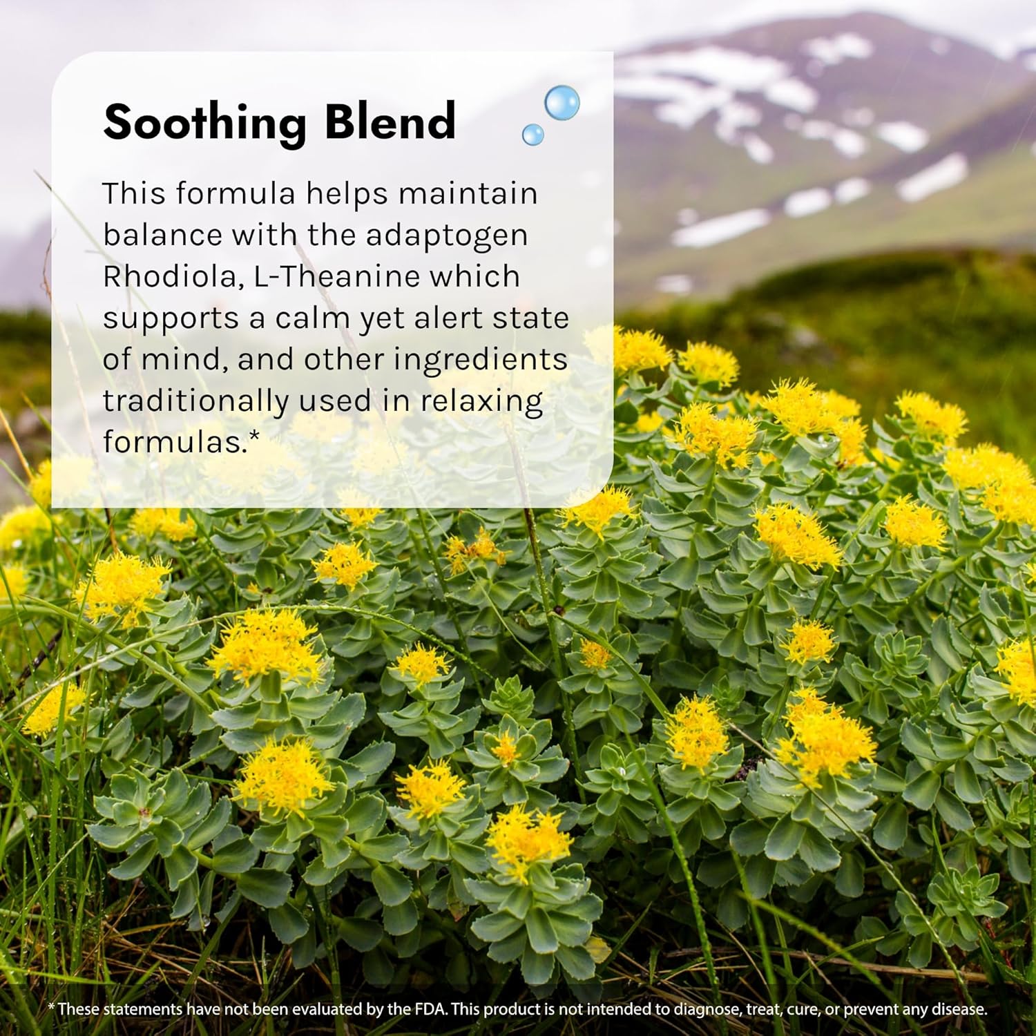 Irwin Naturals Sunny Mood with 5-HTP Liquid Soft-Gels - Promotes Emotional Well-Being and Relaxation - 80 Count