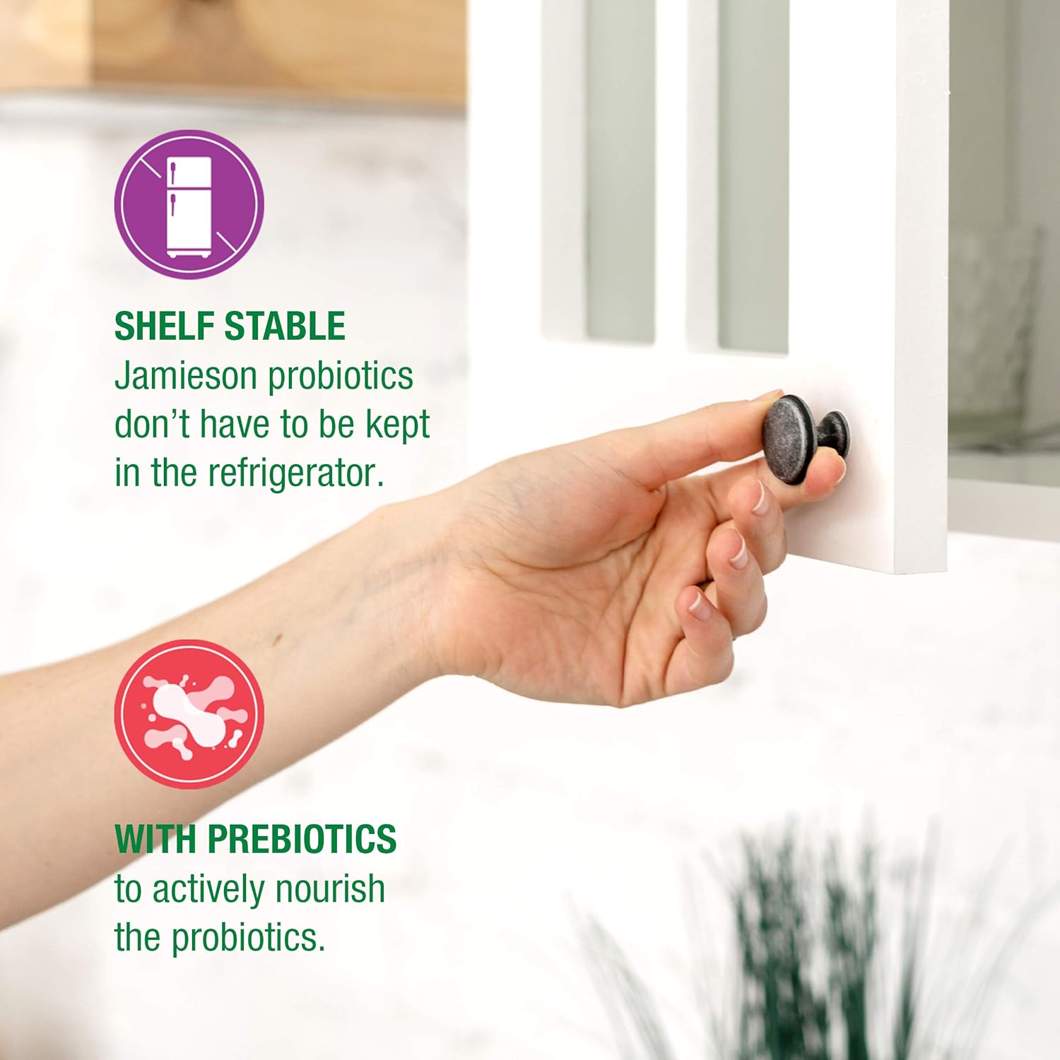 Jamieson Probiotics 10 Billion - Daily Digestive Health Supplement for Men and Women - Supports Gut Health and Immune System (60 Capsules)