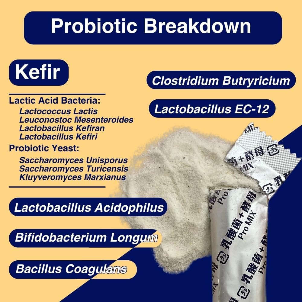 Japanese Probiotic Supplement with Kefir Probiotics Mix, Lactoferrin, Bifidobacterium - 30ct for Gut Health, Digestion, Immune Boost