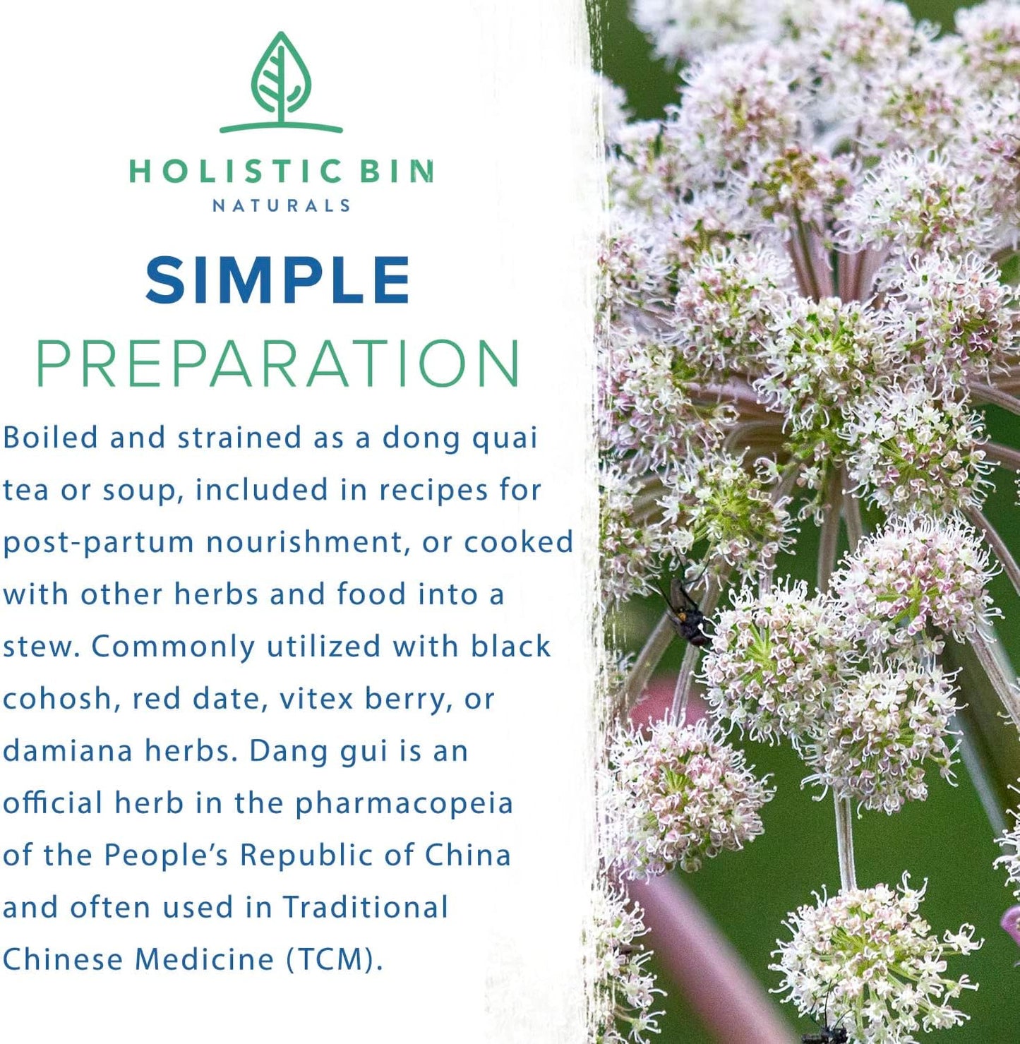 Japanese Wild Harvested Dong Quai Root Powder Extract (Angelica Sinensis) for Women's Health Support | Holistic Female Ginseng