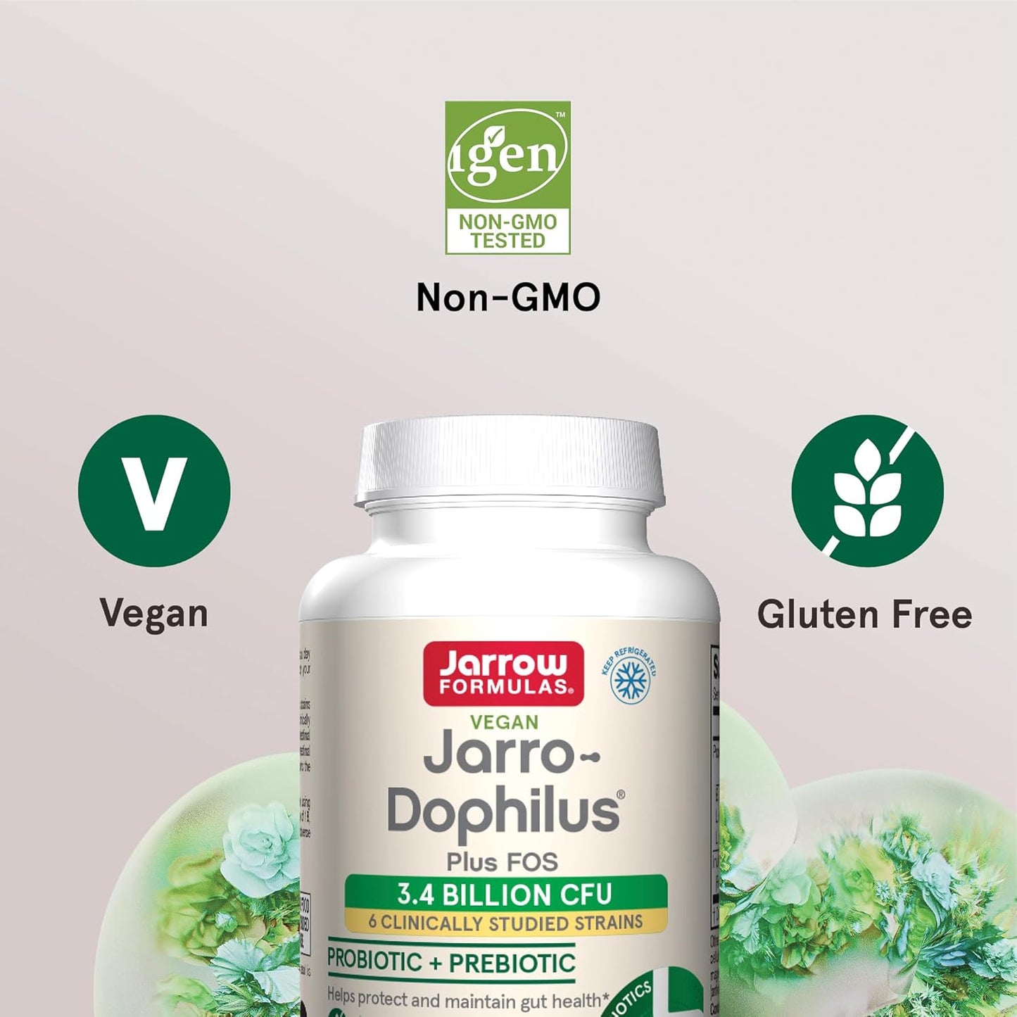 Jarrow Formulas Jarro-Dophilus + FOS - Prebiotic & Probiotic Supplement - 3.4 Billion CFU - Immune & Intestine Support - 100 Servings