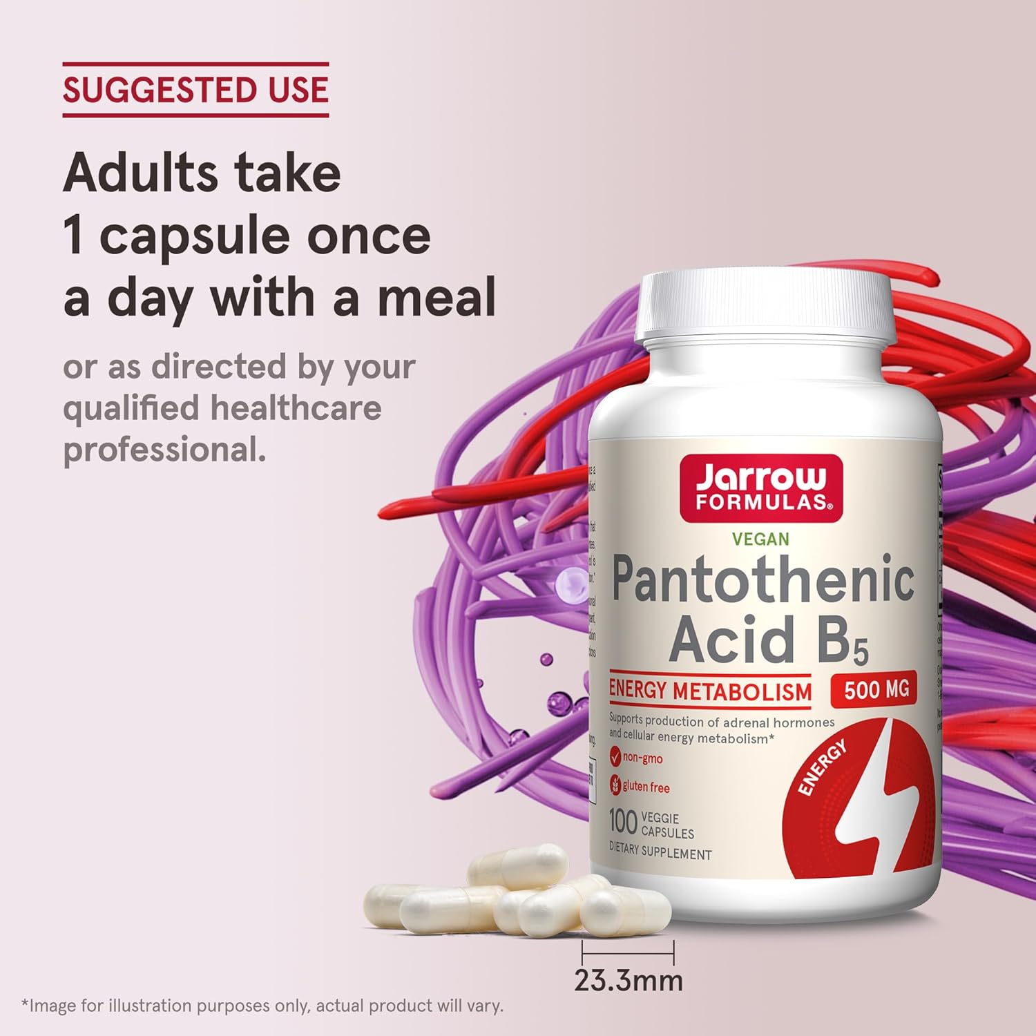 Jarrow Formulas Pantothenic Acid B5 500mg - 200 Veggie Caps - Energy & Metabolism Support - B Vitamin Supplement Pack