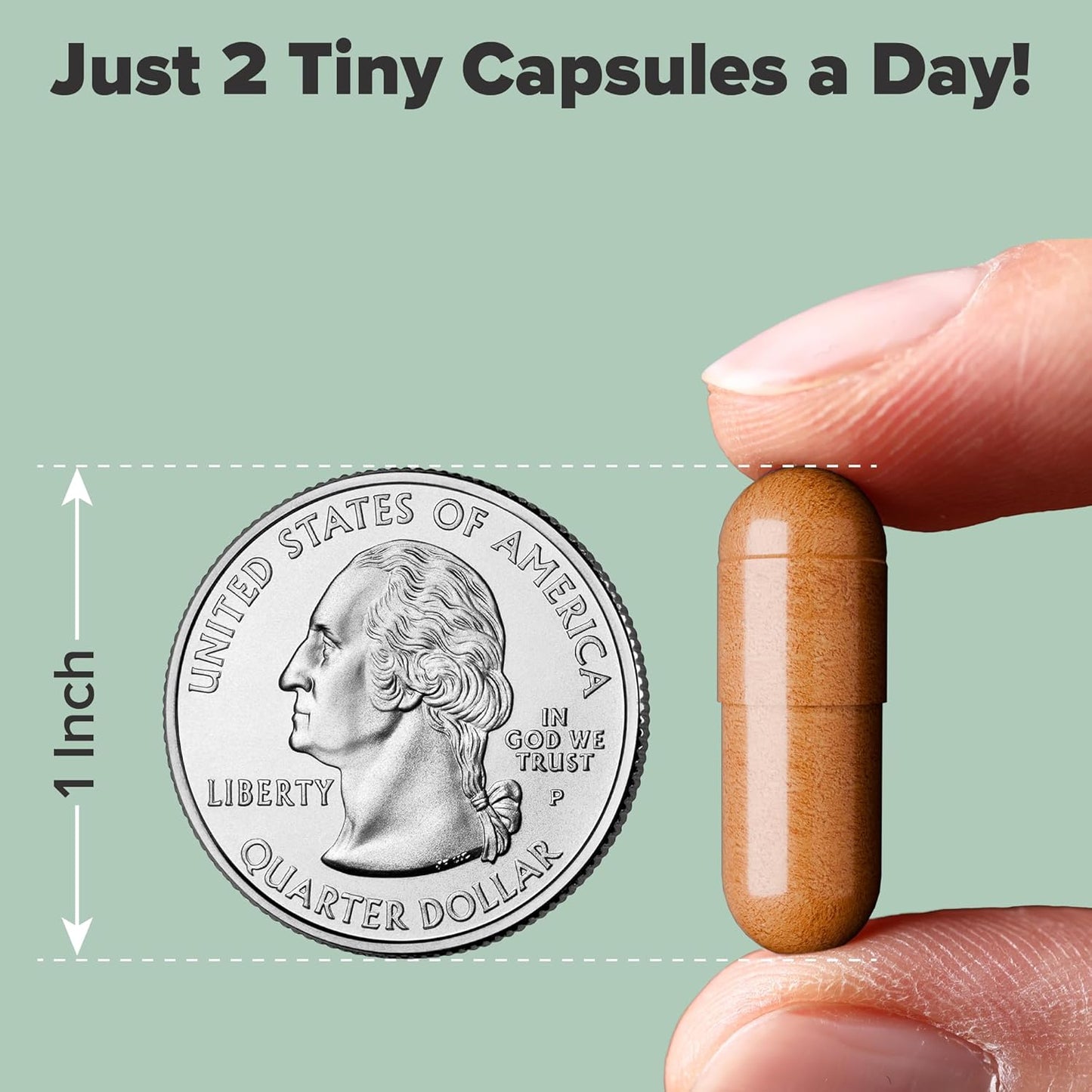 Joint Comfort & Mobility Support with nooro Vital Step Curcumin Supplement - Healthy Inflammatory Response - 30 Days