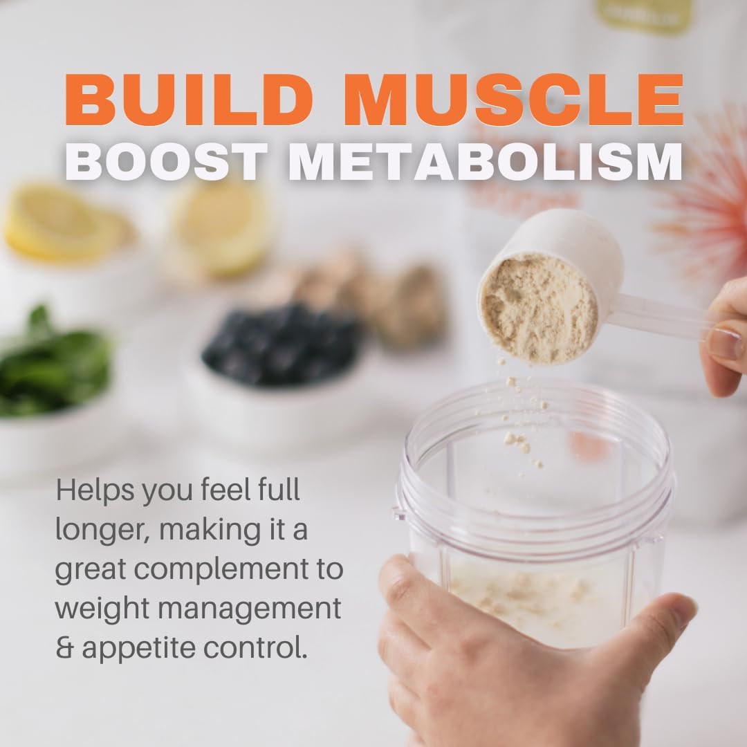 K* PAX KPAX Immune Protein Blend with Green Superfood & Probiotics - Vanilla 2lb, Supports Mitochondrial Health