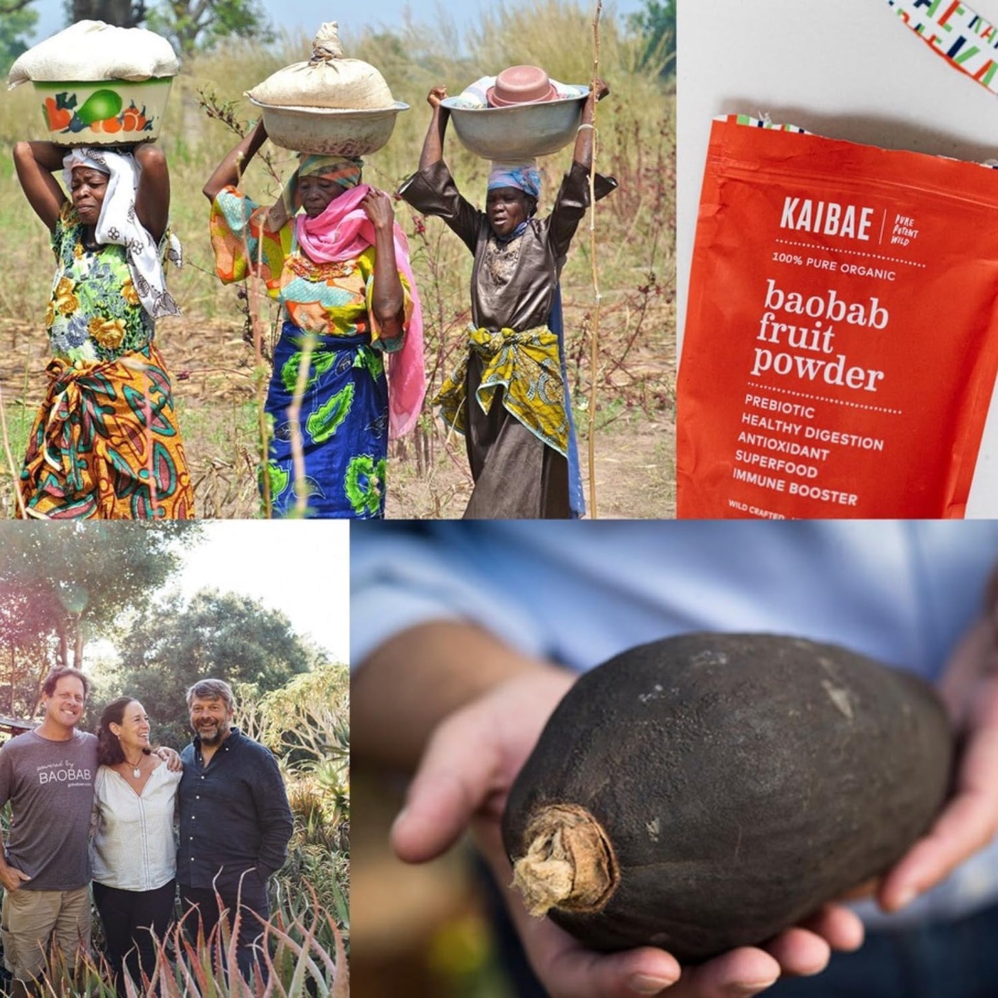 KAIBAE Premium Organic Baobab Powder for Gut Health, Immunity, and Hydration | Vitamin C, Polyphenols, Minerals | 8 oz. Fiber Supplement - BoostGo Australia