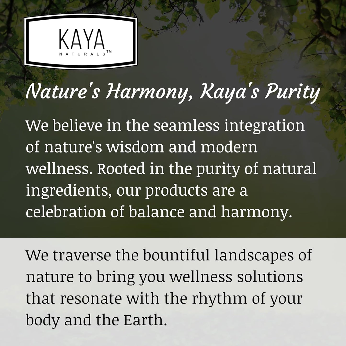 Kaya Naturals D-Mannose Capsules - Urinary Tract Cleanse with Cranberry, Hibiscus, & Dandelion Root - Bladder Health Supplement - 60 Veggie Caps