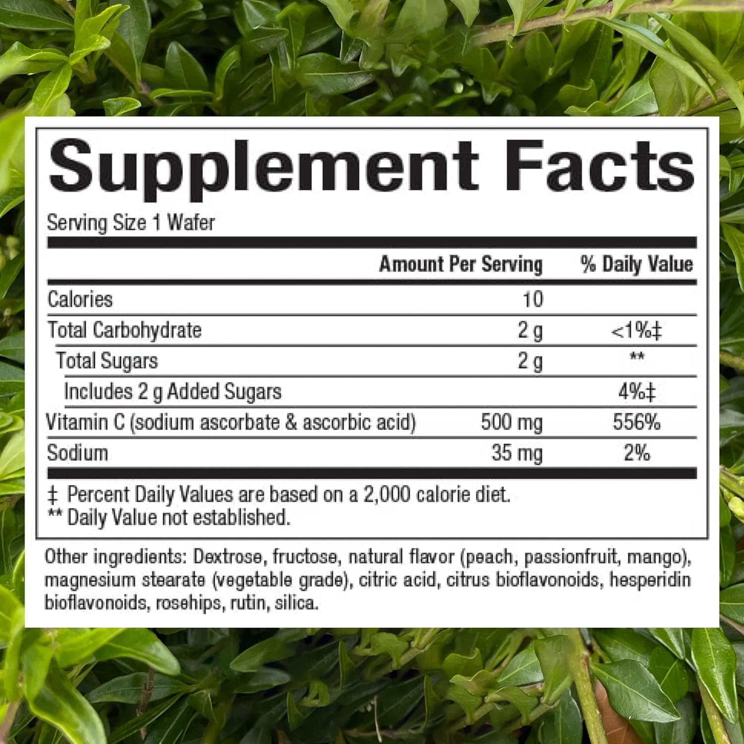 Kids Chewable Vitamin C 500 mg with Natural Flavors - Peach, Passionfruit, Mango - 180 Wafers for Immune Health & Bone Support