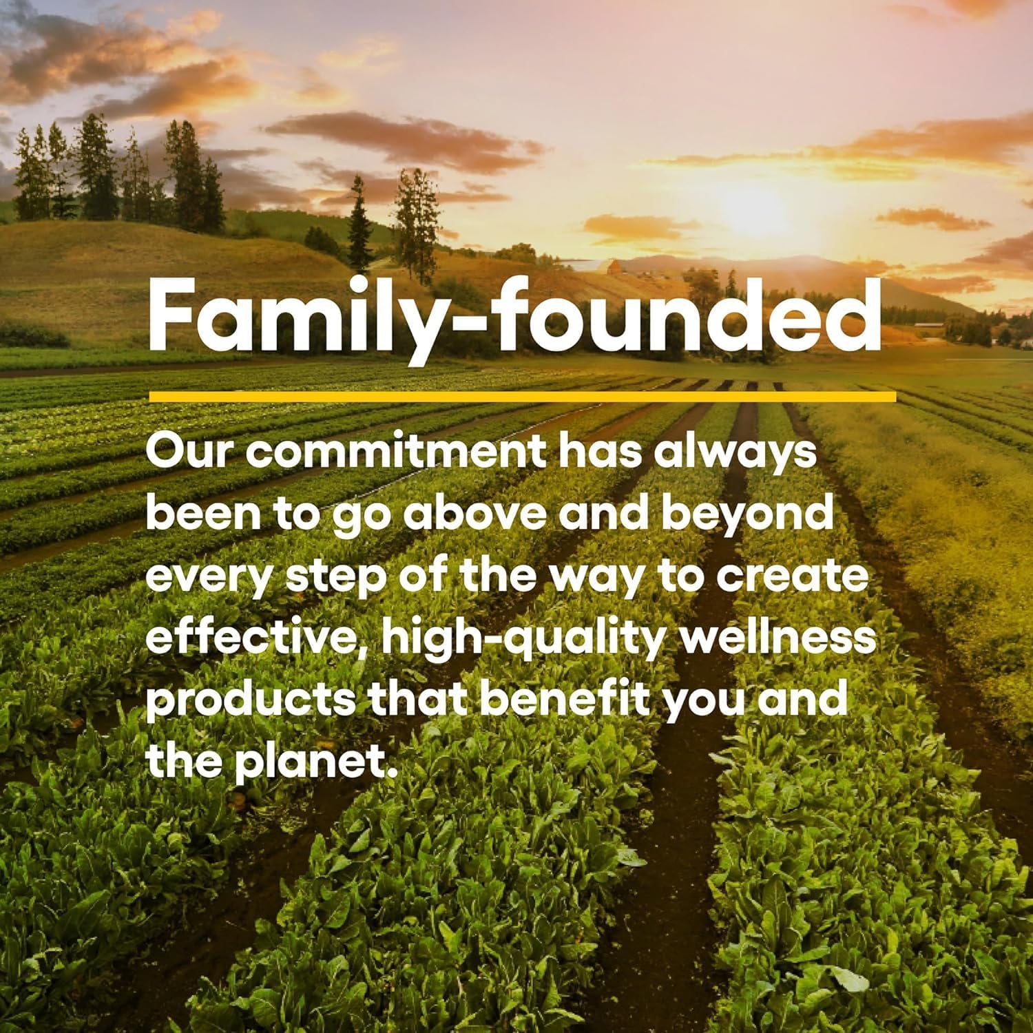 Kids Chewable Vitamin C 500 mg with Natural Flavors - Peach, Passionfruit, Mango - 180 Wafers for Immune Health & Bone Support