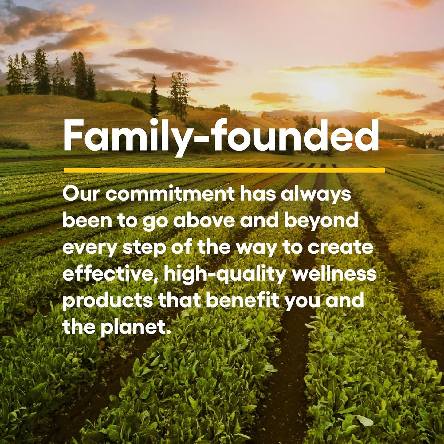 Kids Chewable Vitamin C 500mg with Blueberry, Raspberry, and Boysenberry, 180 Count, Immune Health Support for Bones, Teeth, and Gums