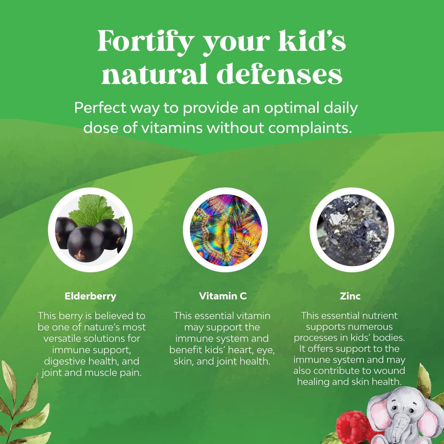 Kids' Plant-Based Omega 3 & Elderberry Gummies Bundle for Vision, Immunity, and Focus - with Zinc and Vitamin C for Immune Support - BoostGo Australia