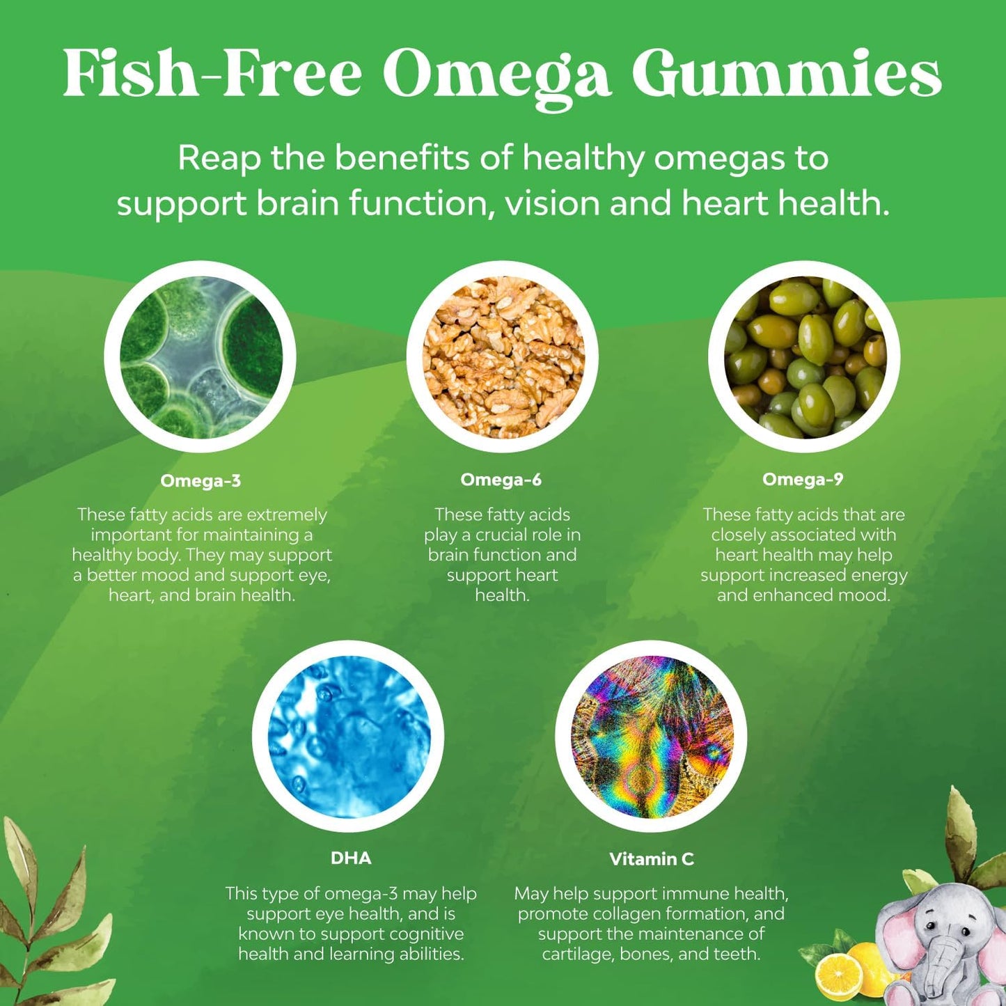 Kids Plant-Based Omega 3 Gummies Bundle for Vision, Immunity, and Focus - Immune Booster Support for Kids - BoostGo Australia