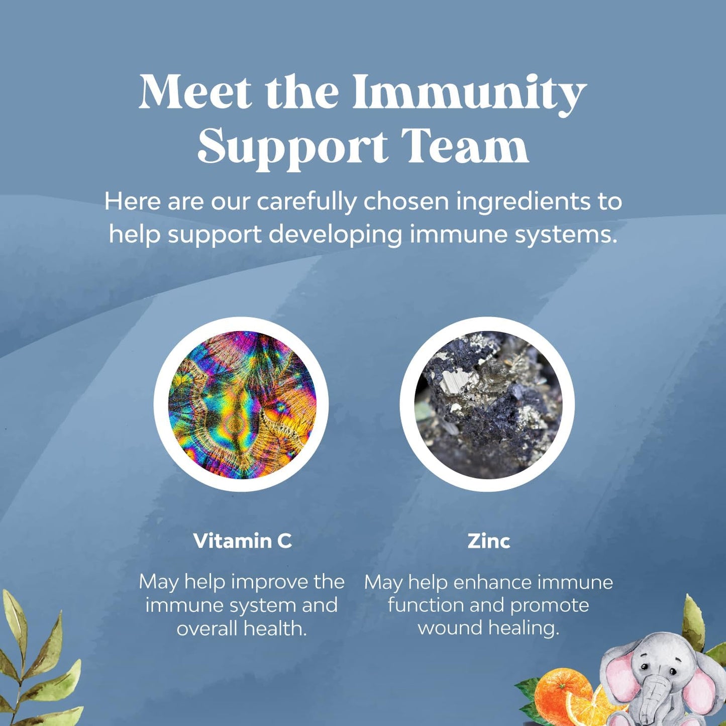 Kids Plant-Based Omega 3 Gummies Bundle for Vision, Immunity, and Focus - Immune Booster Support for Kids - BoostGo Australia