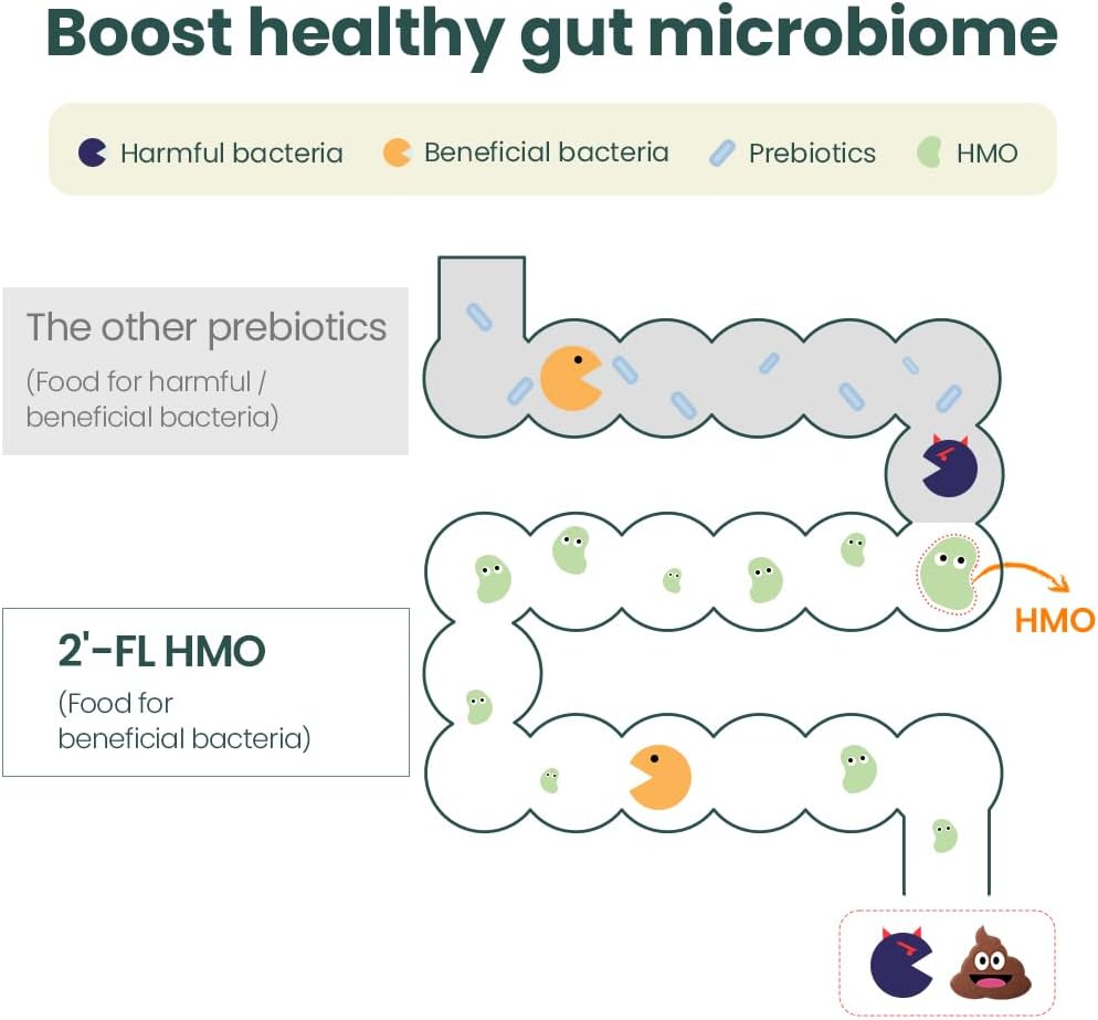 Kids Probiotic Supplement with 1000mg 2'-FL HMO Prebiotics, Patented 11 Strains for Healthy Gut Microbiome, Immune Support, Digestive Health, IBS Relief - 30 Sticks