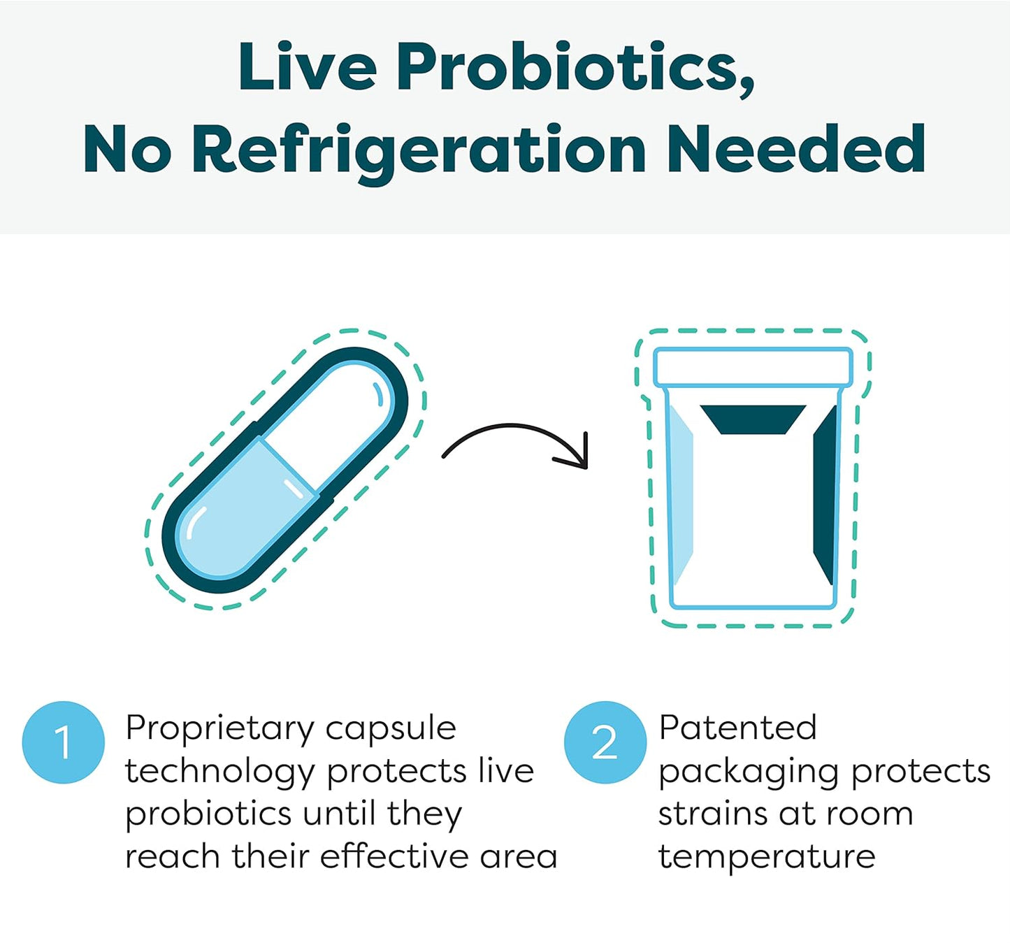 Klaire Labs Ther-Biotic Synbiotic Probiotic with Prebiotic - Supports Digestive Health & Immune System - Lactobacillus & Bifidobacterium Strains - 60 Capsules