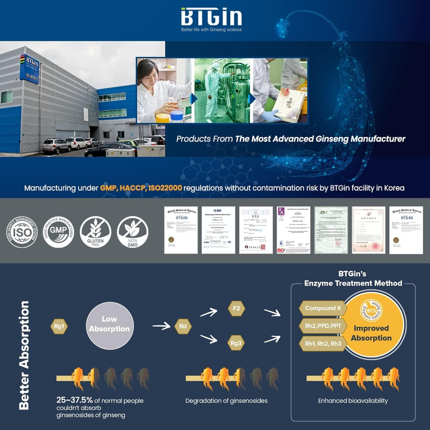 Korean Red Ginseng Extract Bundle - 3000mg Saponin Hanppuri + The Root Original Capsules - Immune Support, Stress Relief, Focus & Mental Clarity - Ginsenoside Rg3 - Natural Energy Supplements