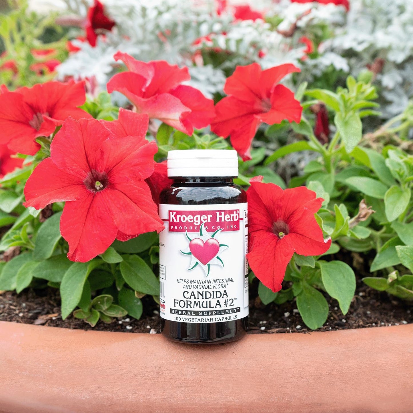 Kroeger Herb Candida Formula #2 Cleanse Support Supplement - Maintain Yeast Levels - Intestinal Health - Vegetarian & Non-GMO - USA Made