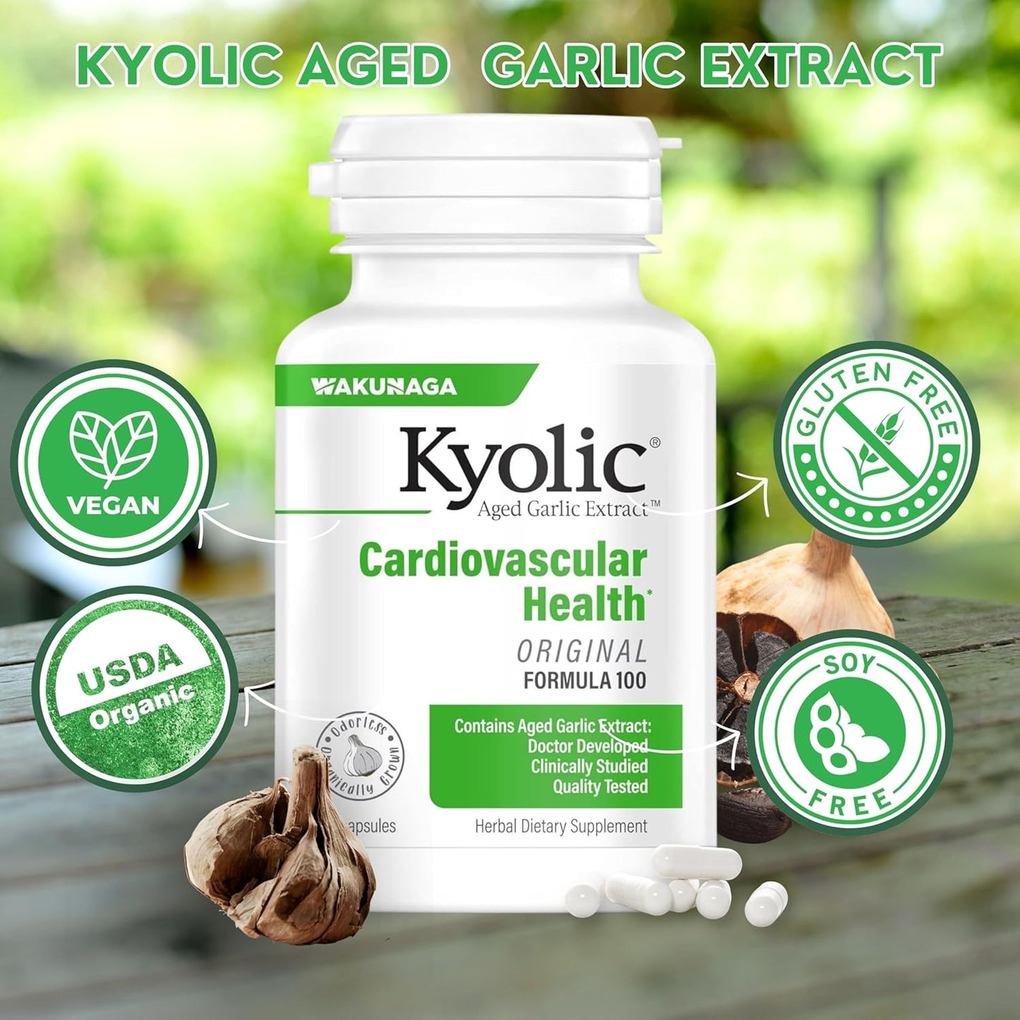 Kyolic Aged Garlic Extract Formula 100 with Multi-Purpose Key Chain - Worldwide Nutrition Bundle, 100 Capsules