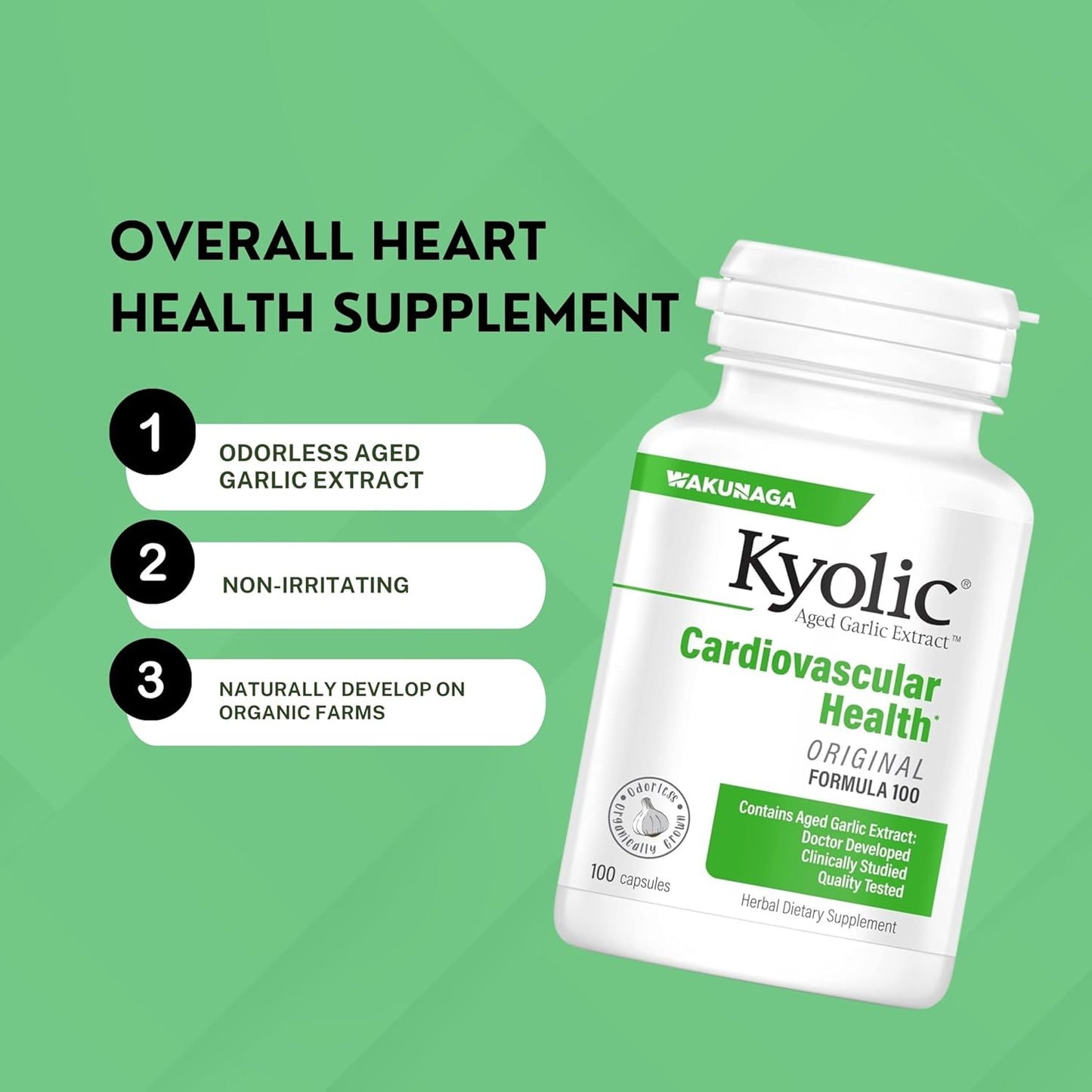Kyolic Aged Garlic Extract Formula 100 with Multi-Purpose Key Chain - Worldwide Nutrition Bundle, 100 Capsules