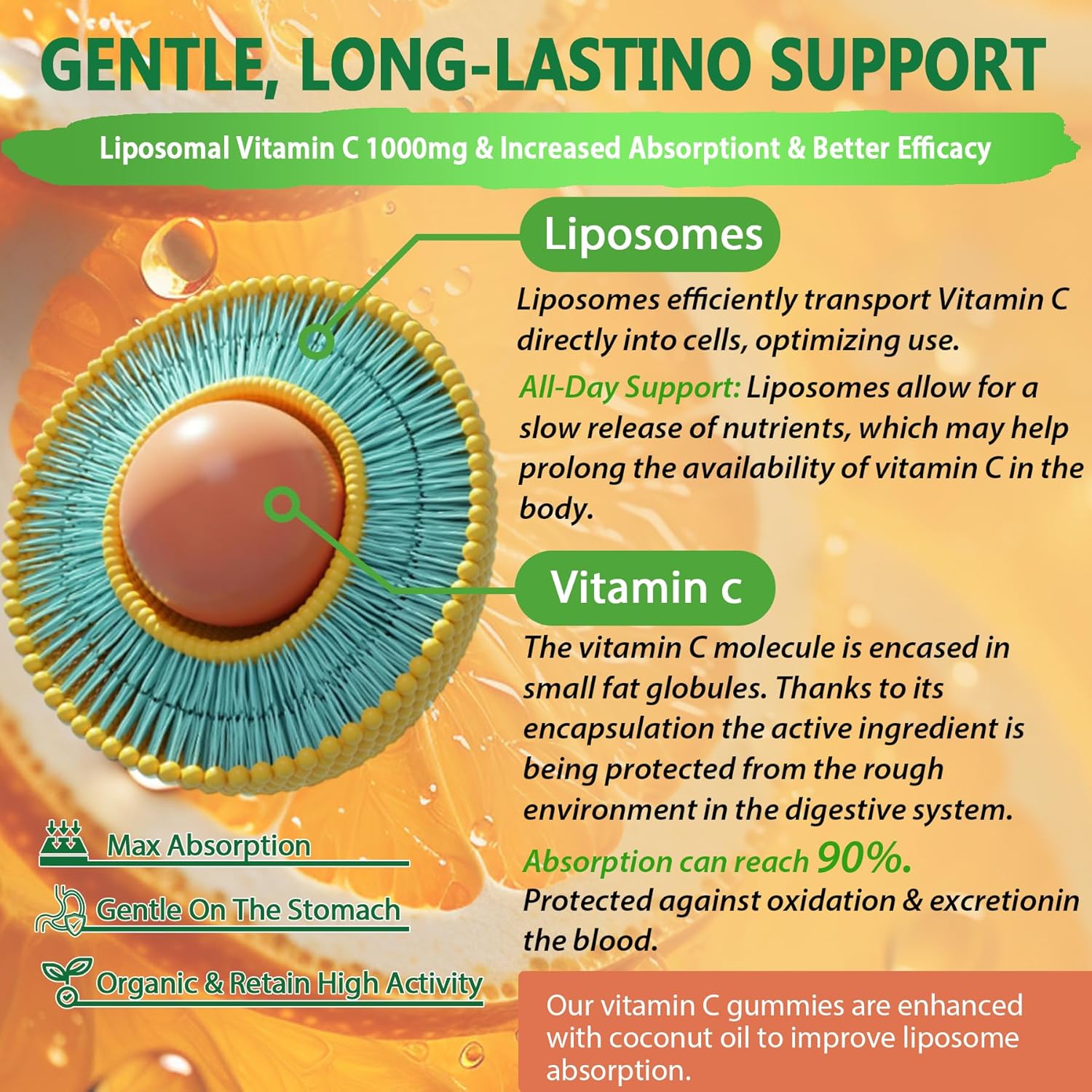 L-Tyrosine Gummies with Liposomal Vitamin C - 1000mg Immune Support Formula