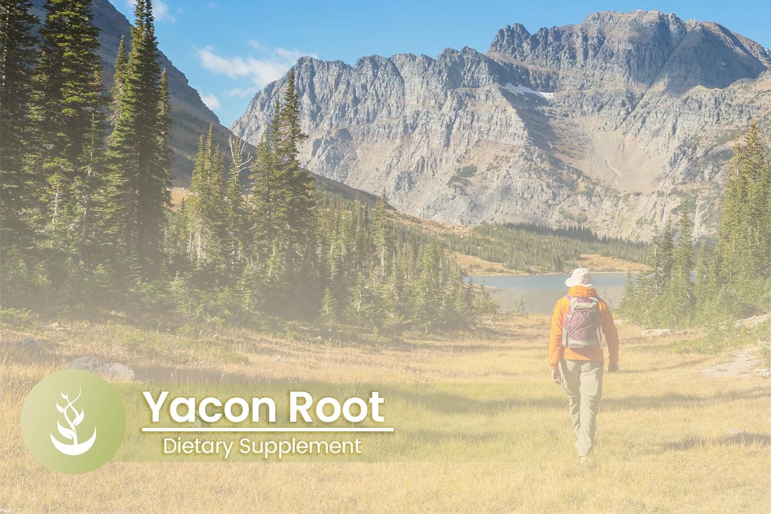 Lab Verified Yacon Root Capsules - 100 Count, Pure Original Ingredients, No Additives or Fillers - BoostGo Australia