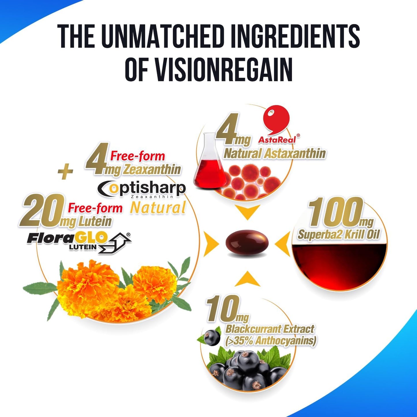 LABO Nutrition VisionREGAIN Softgels - Enhanced Absorption, 20mg Lutein, Zeaxanthin, Krill Oil, Astaxantin for Eye Health