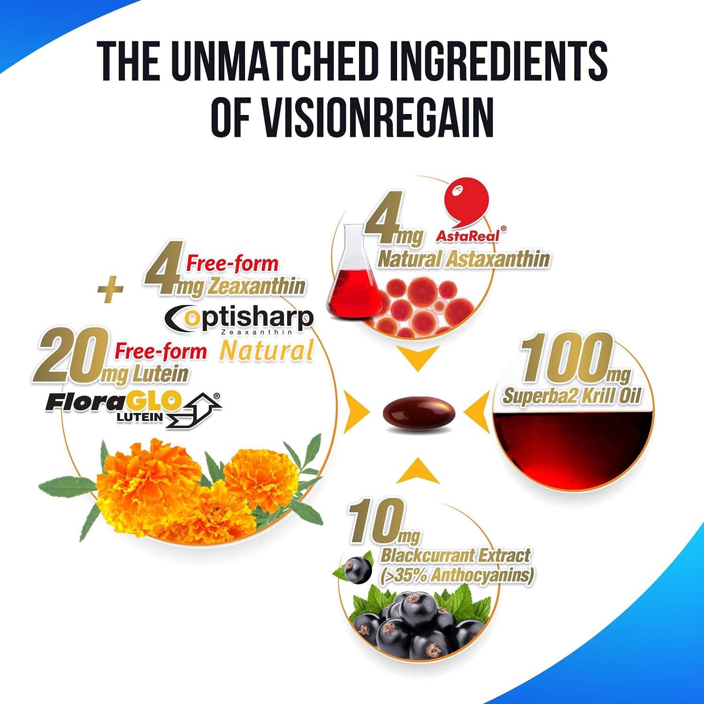 LABO Nutrition VisionREGAIN Softgels - Enhanced Absorption, 20mg Lutein, Zeaxanthin, Krill Oil, Astaxantin for Eye Health