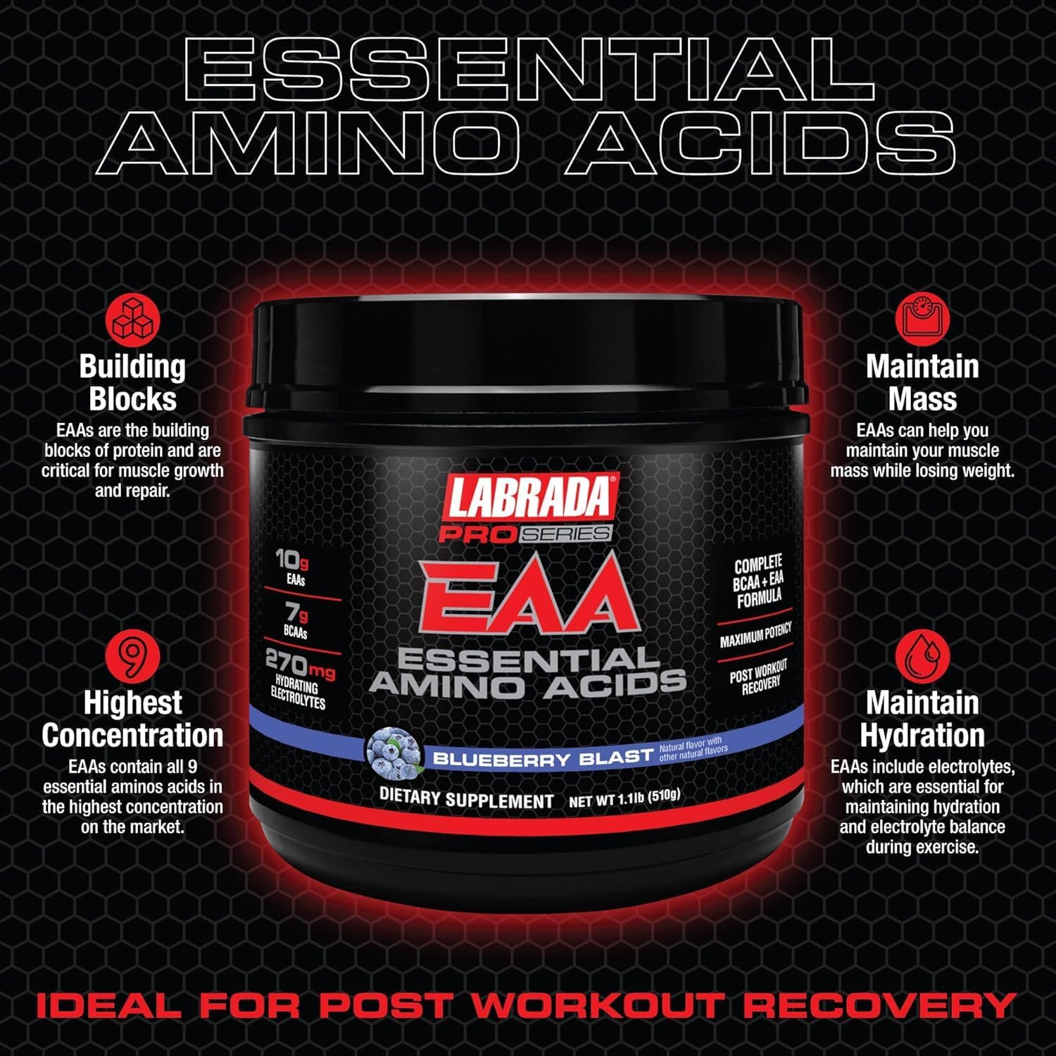 Labrada Pro Series EAA Hydrating Formula with 10g BCAAs, 7g EAAs, 270mg Electrolytes - Blueberry Blast