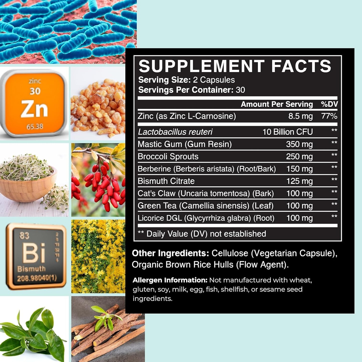 Lactobacillus Reuteri Probiotic with Mastic Gum for H. Pylori Fight & GI Health - 60 Vegan Capsules, USA Made