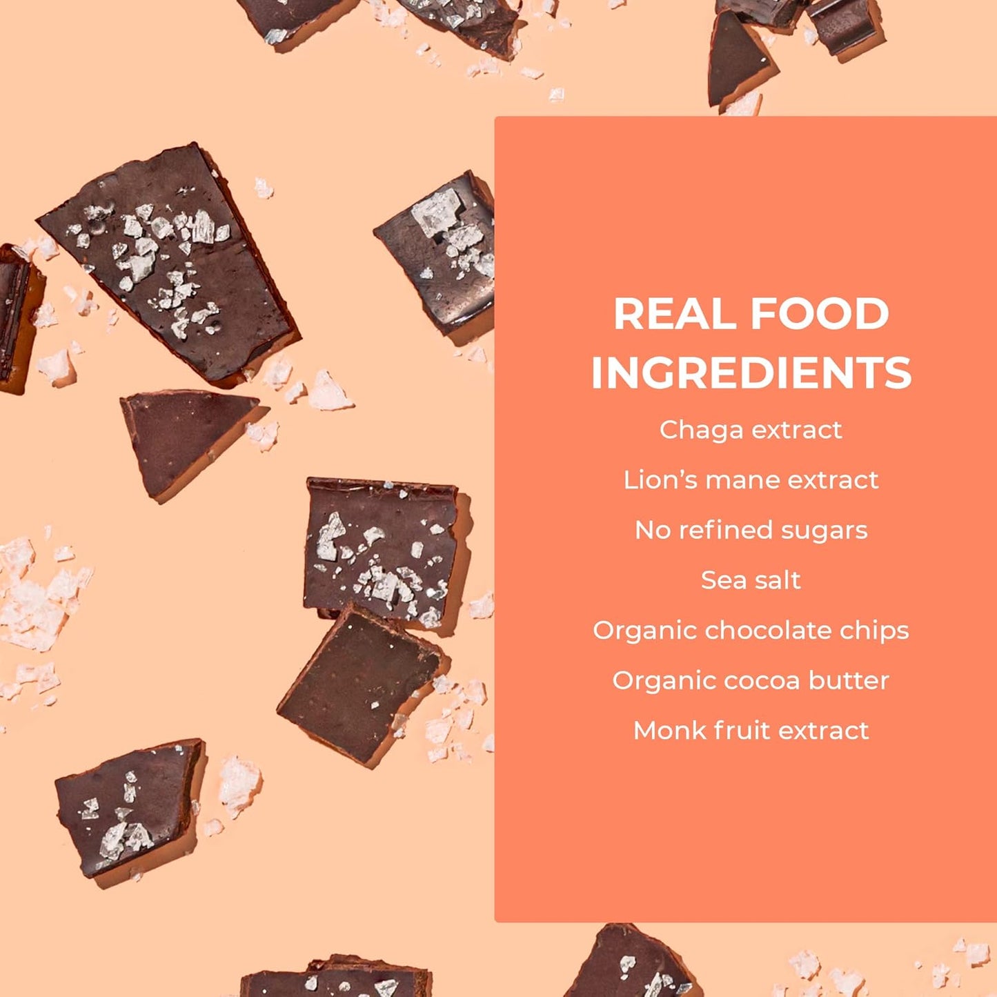 Laird Superfood Dark Chocolate Sea Salt Protein Bars - Plant-Based, Functional Mushrooms, Real Ingredients - 10g Protein, 6g Fiber - Non-GMO - 10 Count Pack