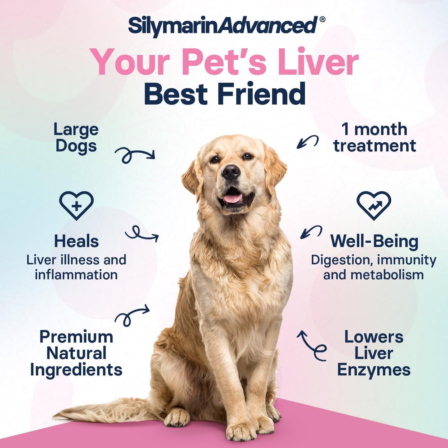 Large Dog Liver Health Supplement with Silymarin, S-Adenosylmethionine, and Silybin - 30 Tablets