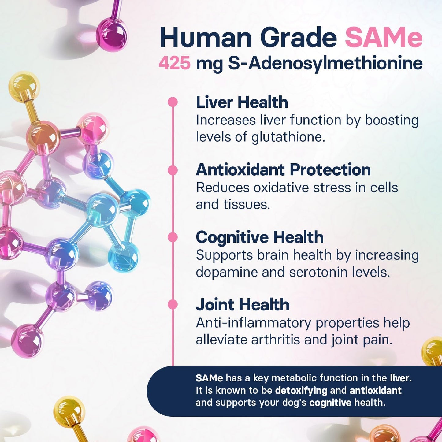 Large Dog Liver Health Supplement with Silymarin, S-Adenosylmethionine, and Silybin - 30 Tablets