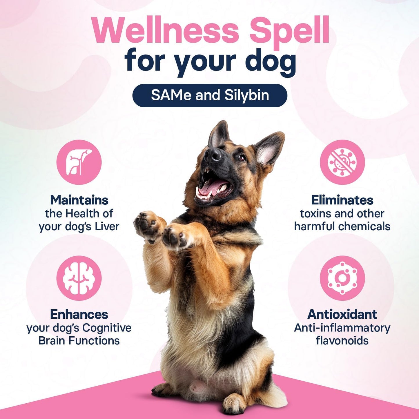 Large Dog Liver Health Supplement with Silymarin, S-Adenosylmethionine, and Silybin - 30 Tablets